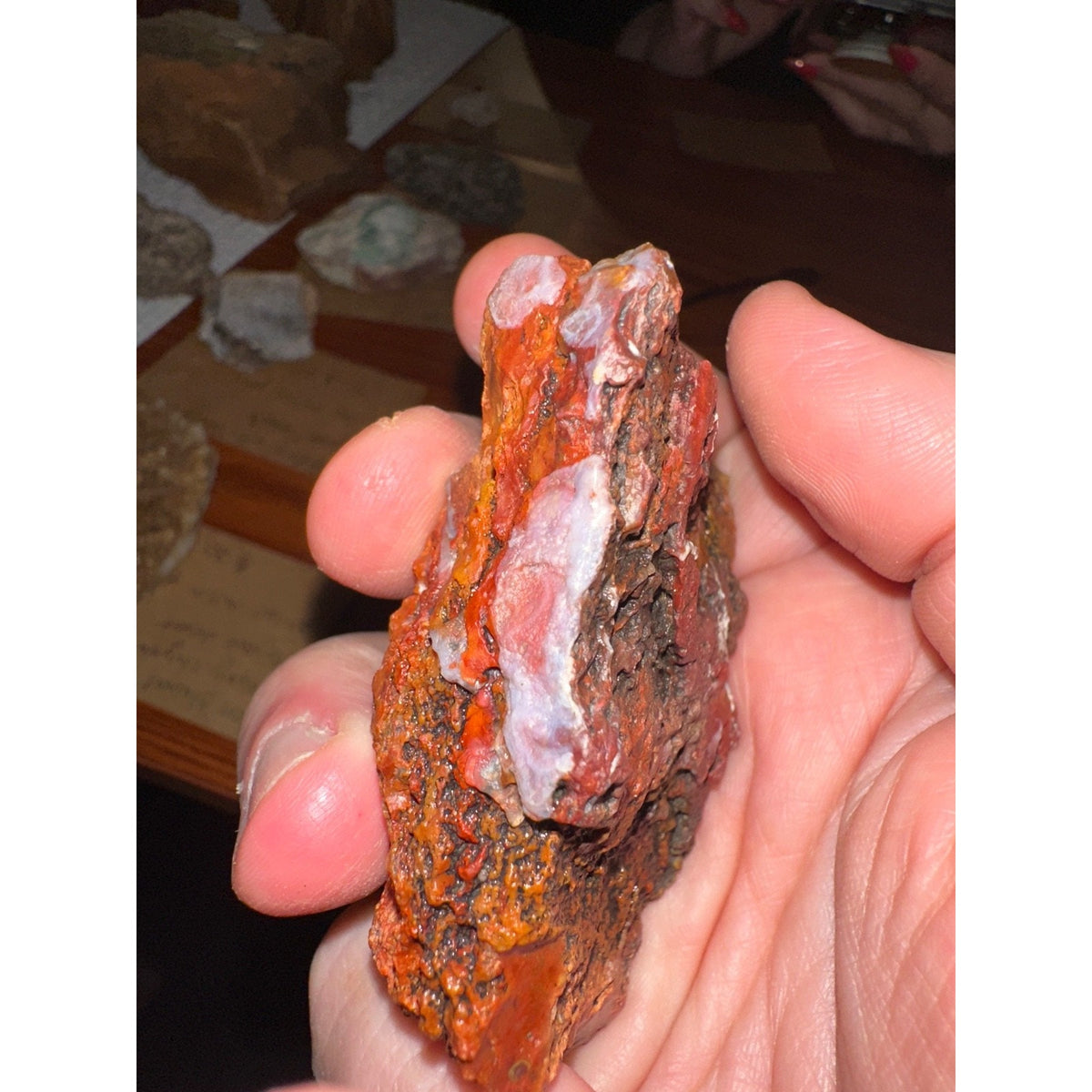 Bulk Red Jasper Rough Stone 1 lb – Select Lapidary Rock – Tumbling (5-9 Peices)