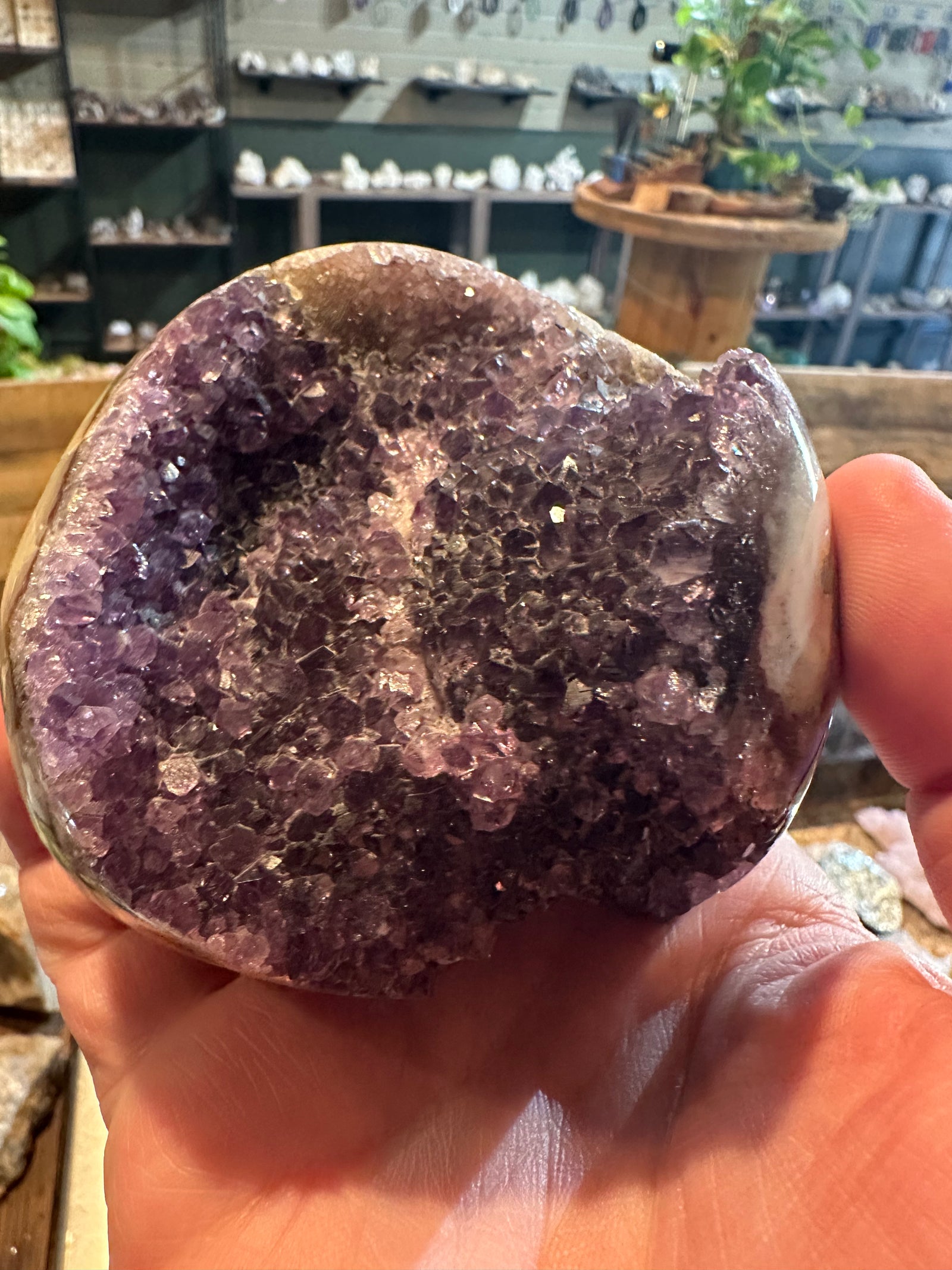 Velvet Violet Amethyst Geode | Polished Crystal Freeform | 26 oz — image 7