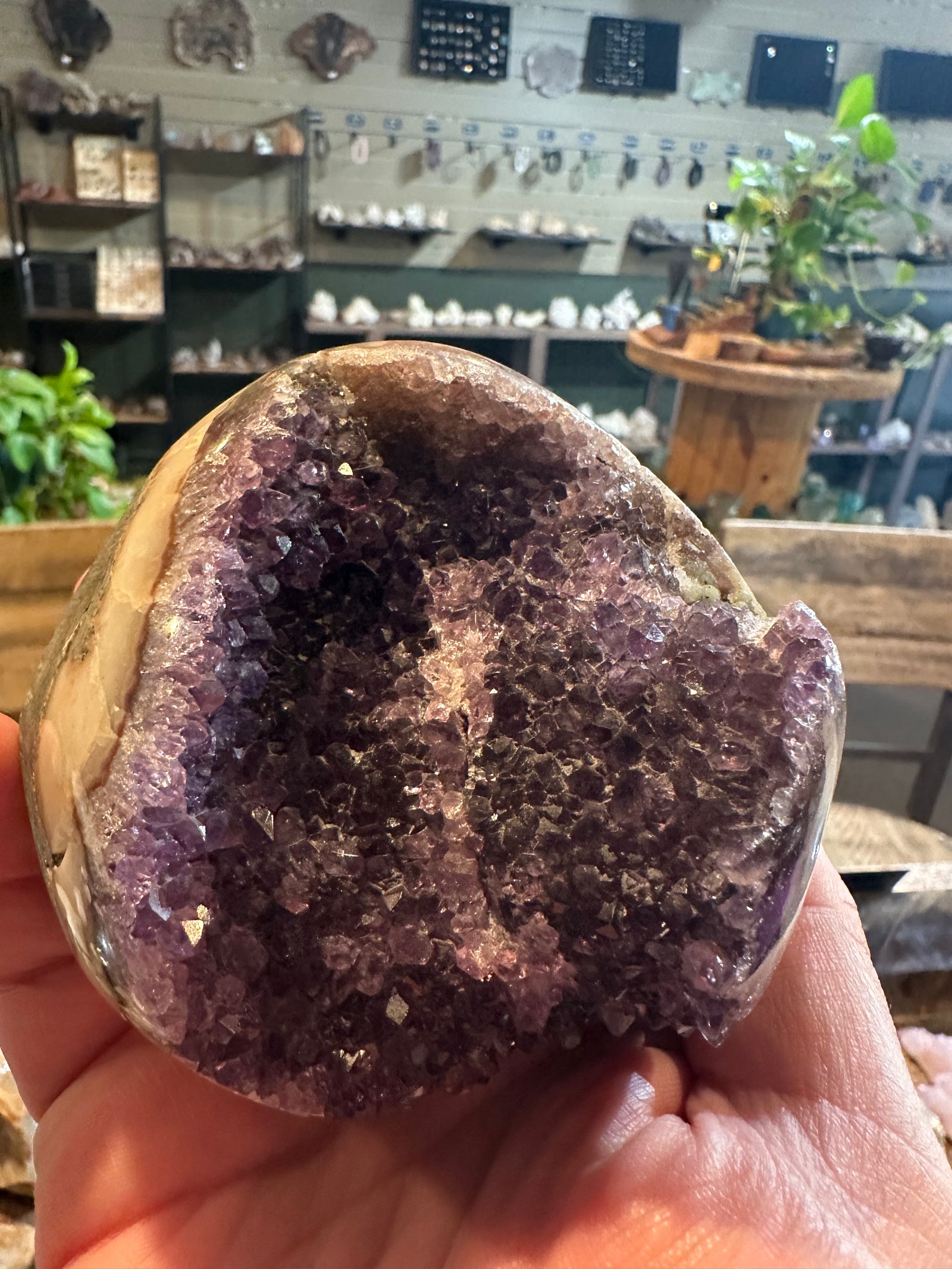 Velvet Violet Amethyst Geode | Polished Crystal Freeform | 26 oz — image 6