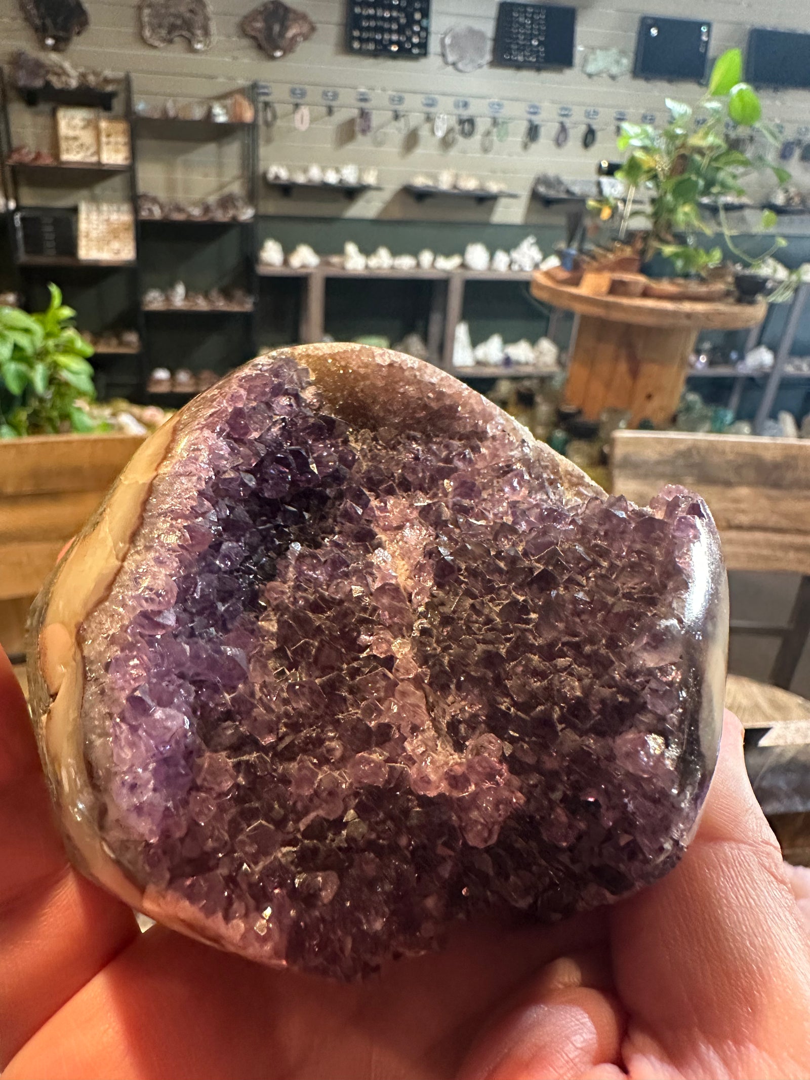 Velvet Violet Amethyst Geode | Polished Crystal Freeform | 26 oz — image 5