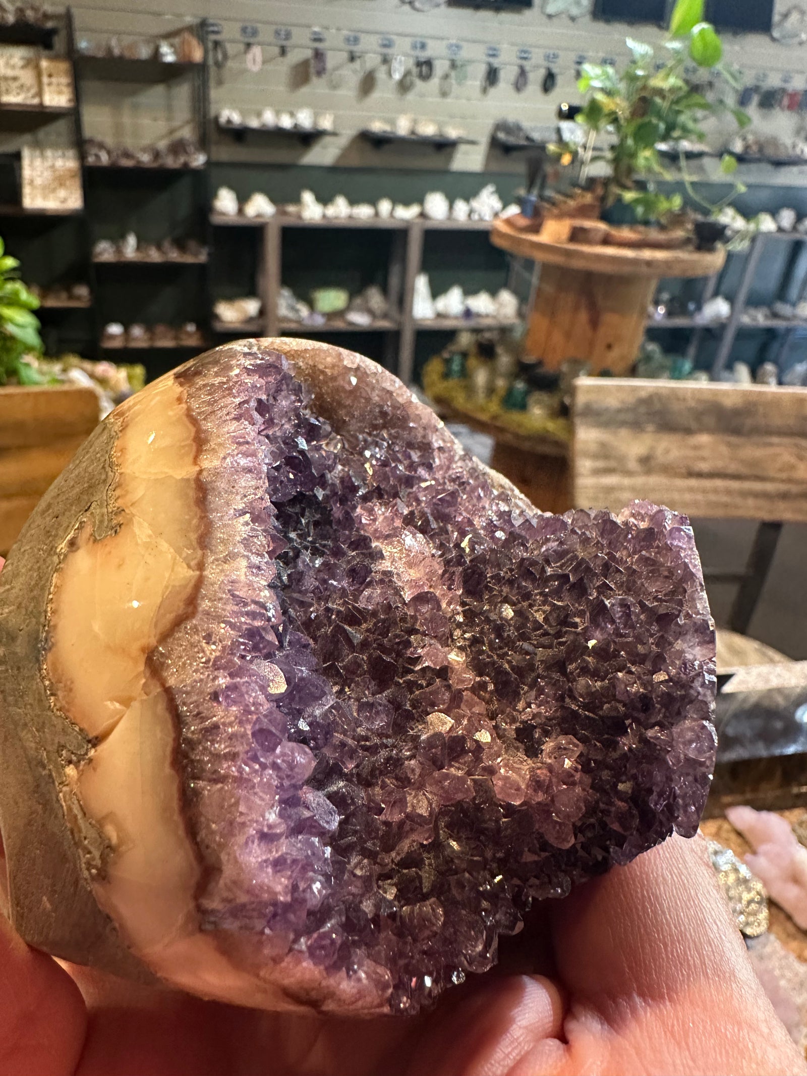 Velvet Violet Amethyst Geode | Polished Crystal Freeform | 26 oz — image 4