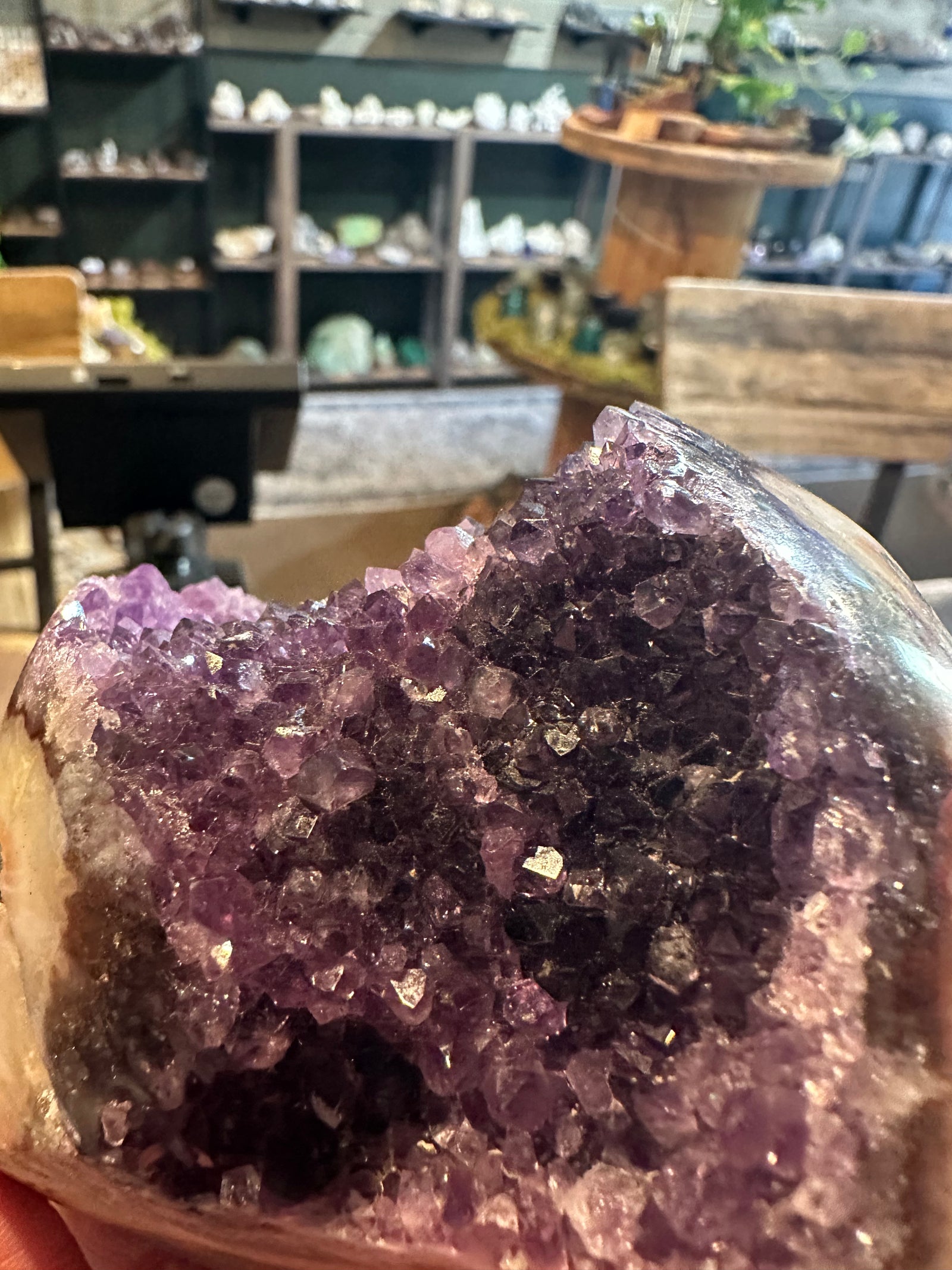 Velvet Violet Amethyst Geode | Polished Crystal Freeform | 26 oz — image 1