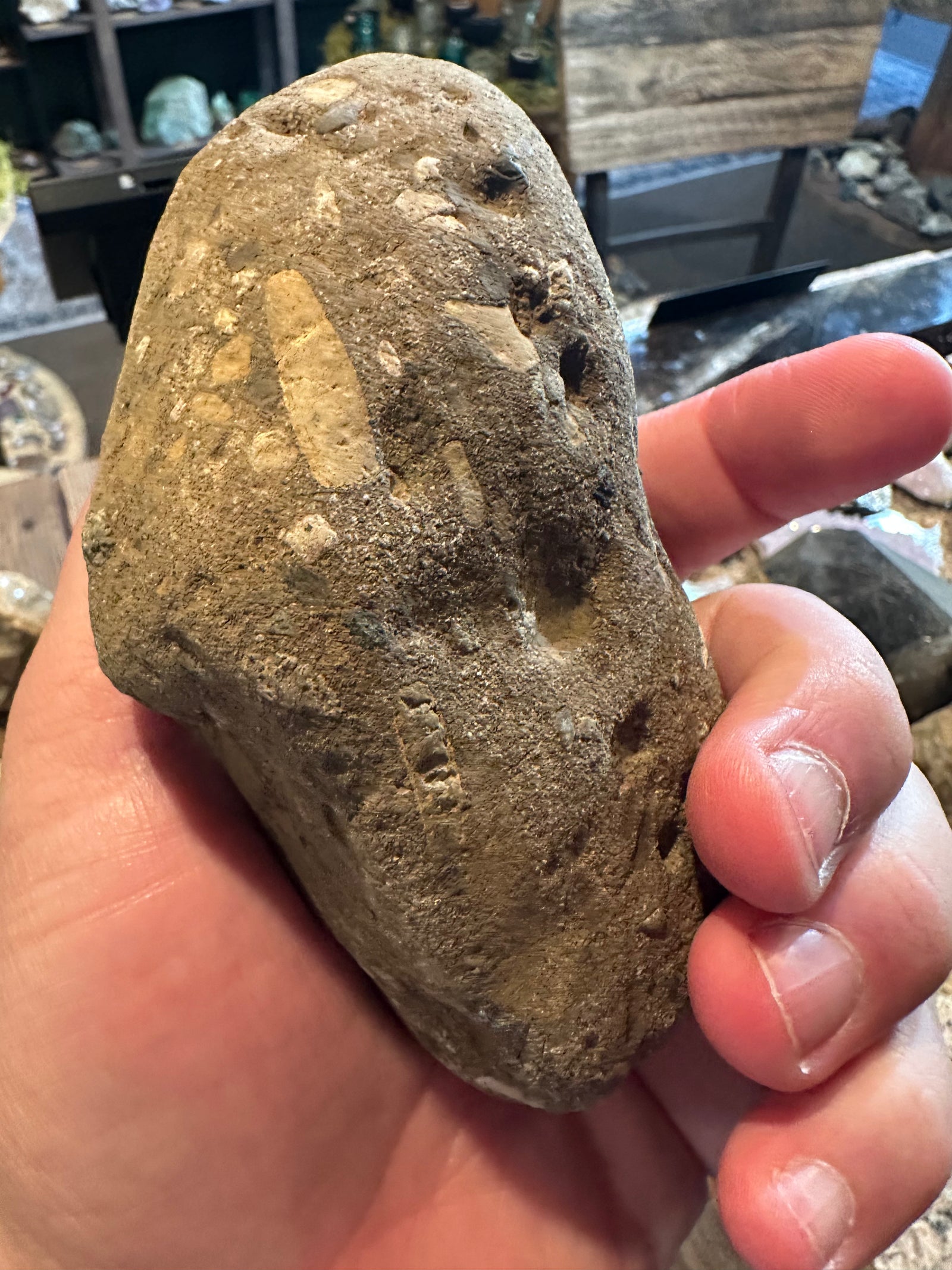 18 oz Fluorescent Fossiliferous Sandstone Riverbed Specimen — image 4