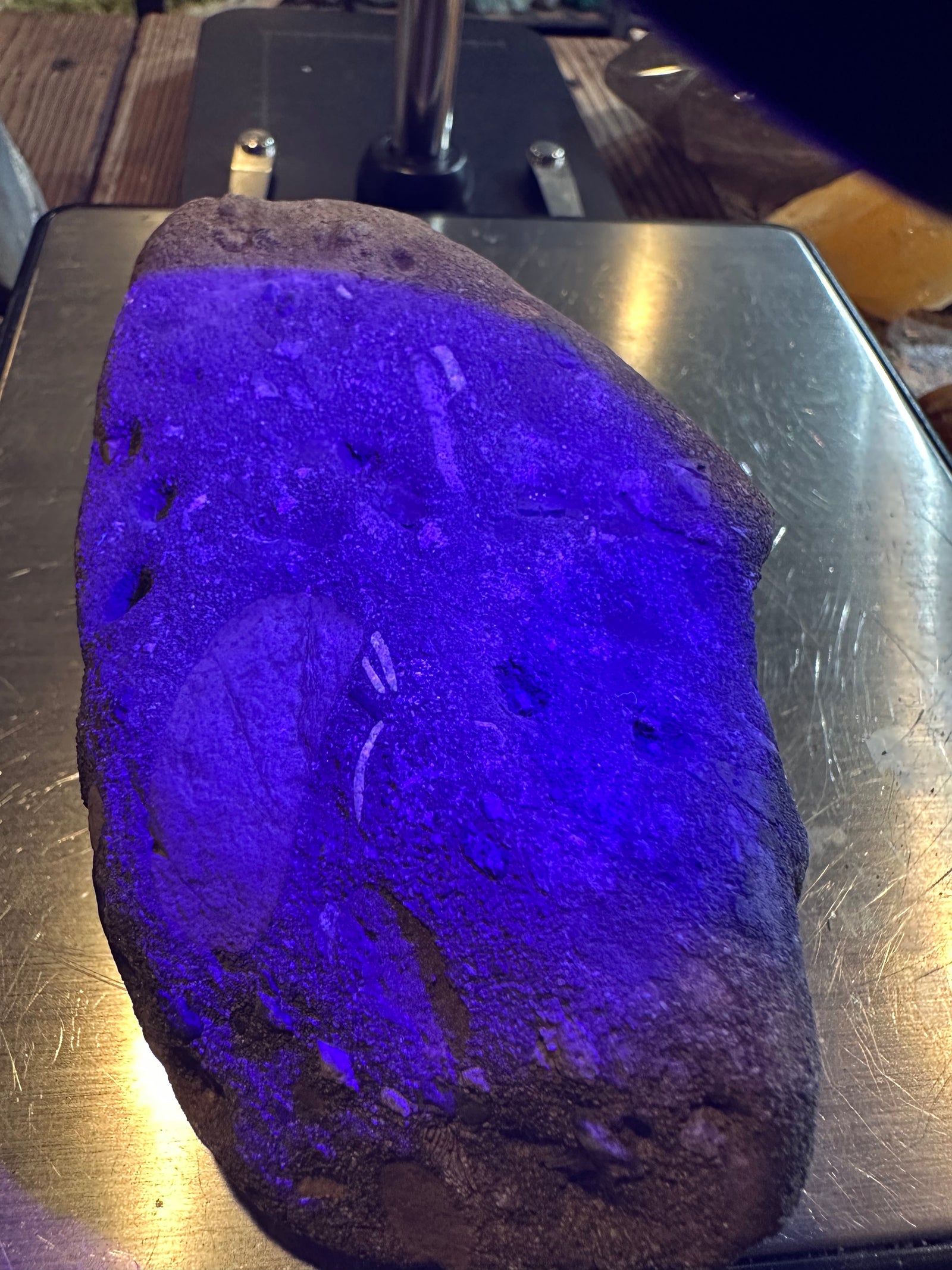 18 oz Fluorescent Fossiliferous Sandstone Riverbed Specimen — image 2