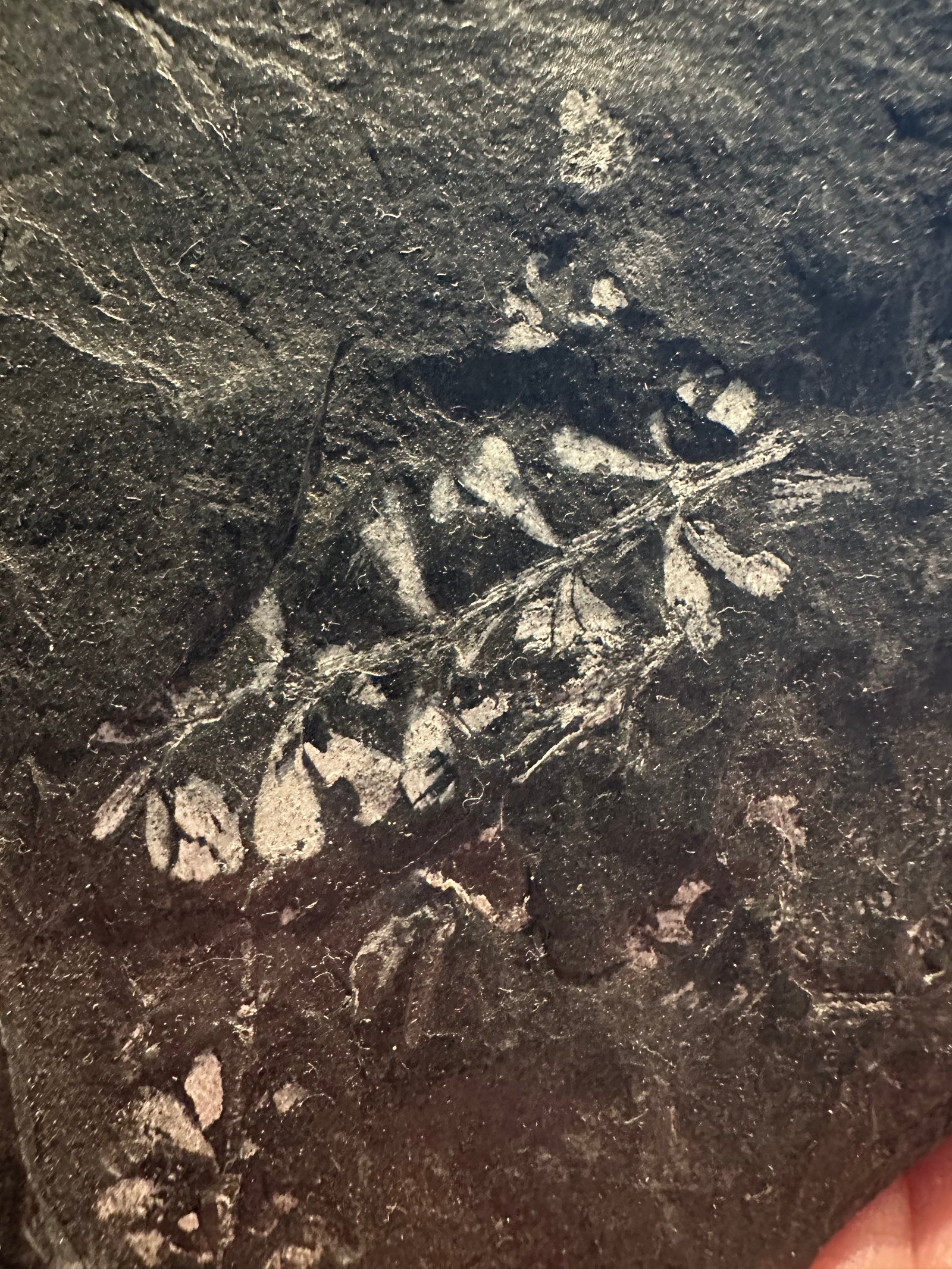 37 oz Fossil Fish Impression Plate in Dark Shale — image 2