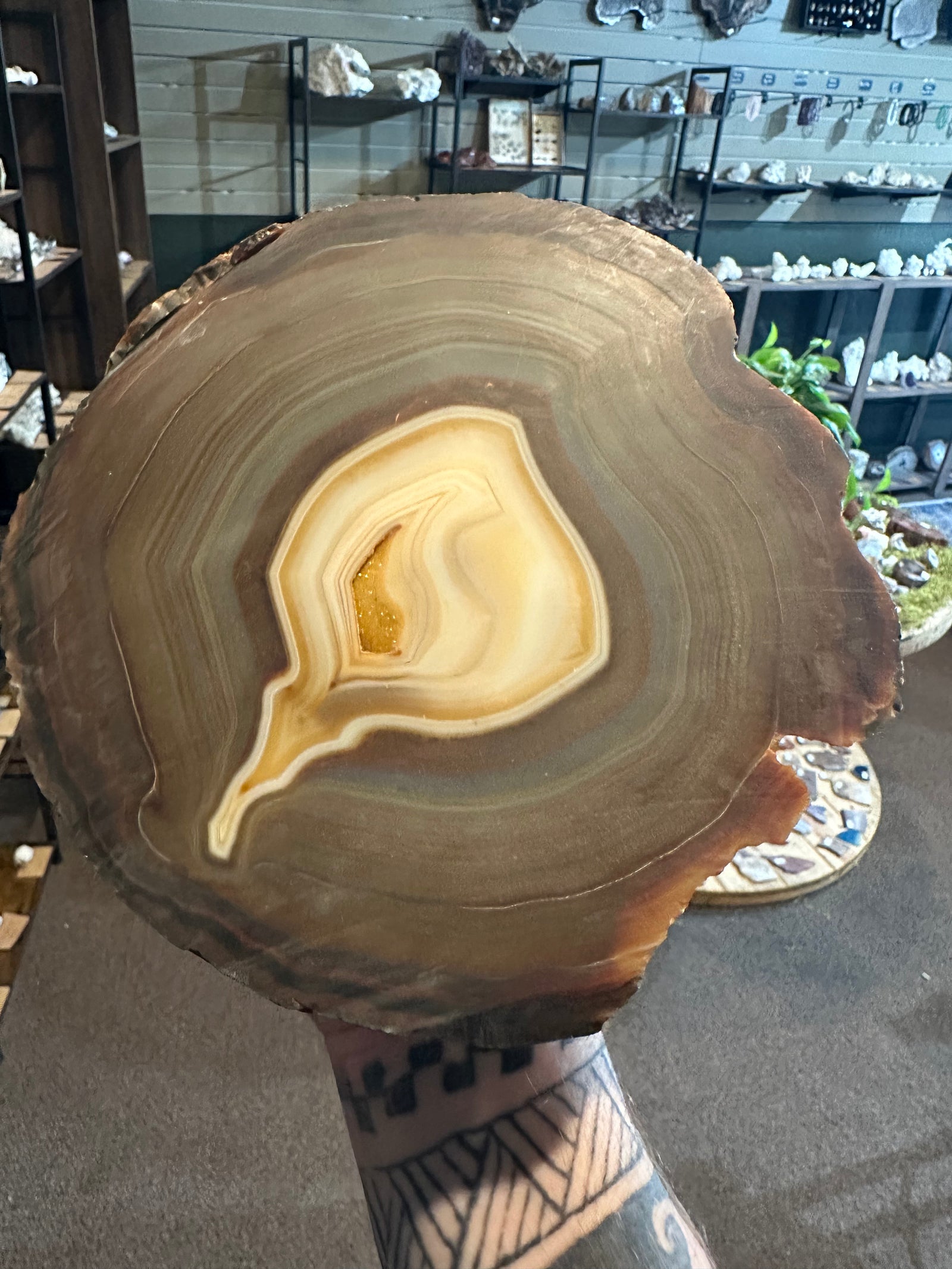 76.1 oz Polished Agate Slice with Golden Druzy Quartz — image 4