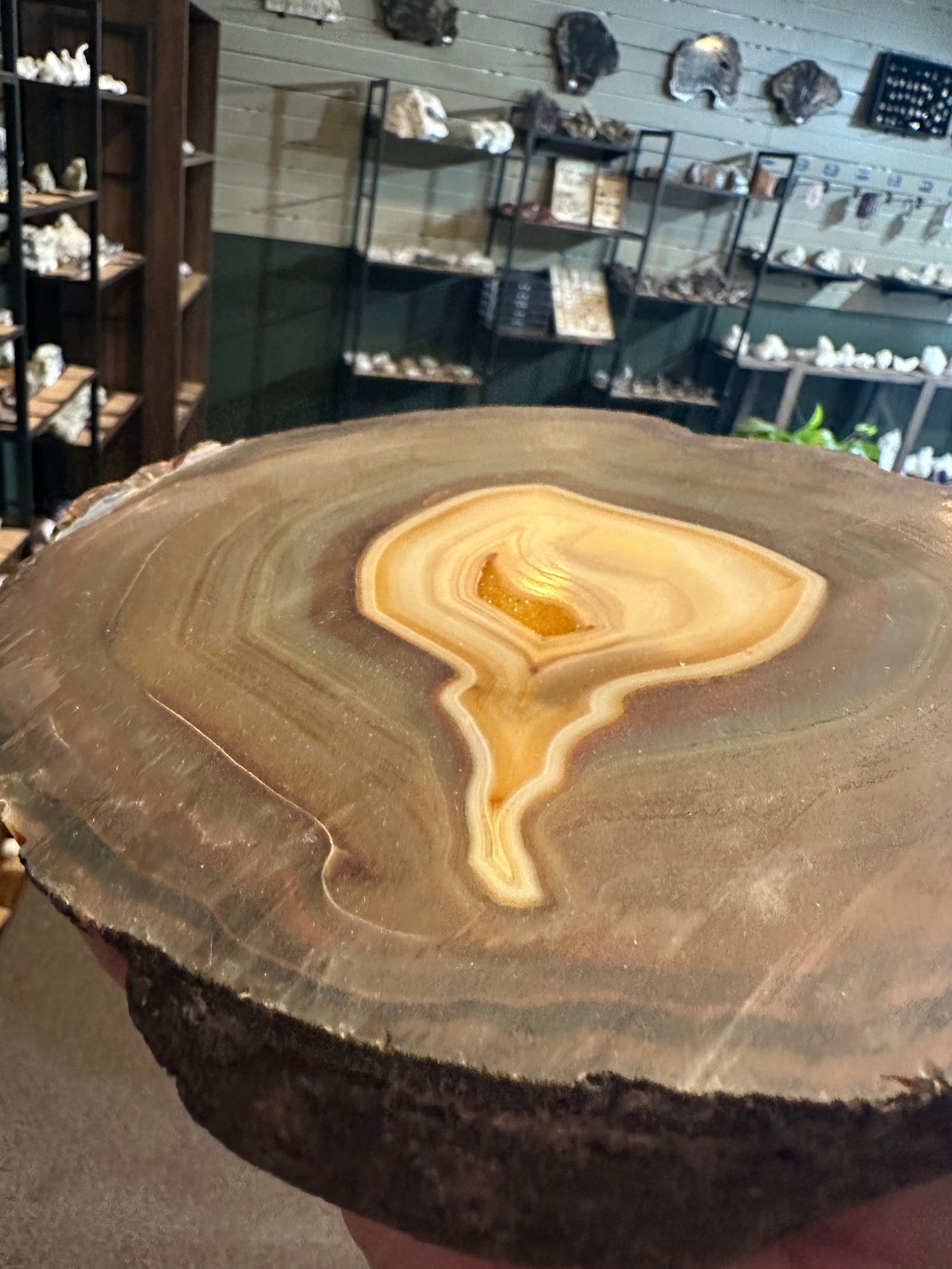 76.1 oz Polished Agate Slice with Golden Druzy Quartz — image 3