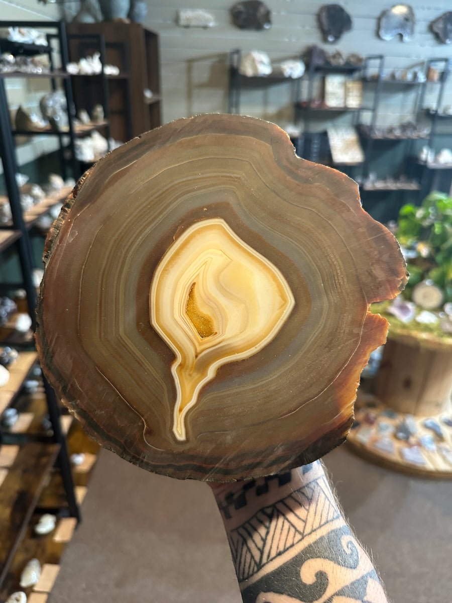 76.1 oz Polished Agate Slice with Golden Druzy Quartz — image 1