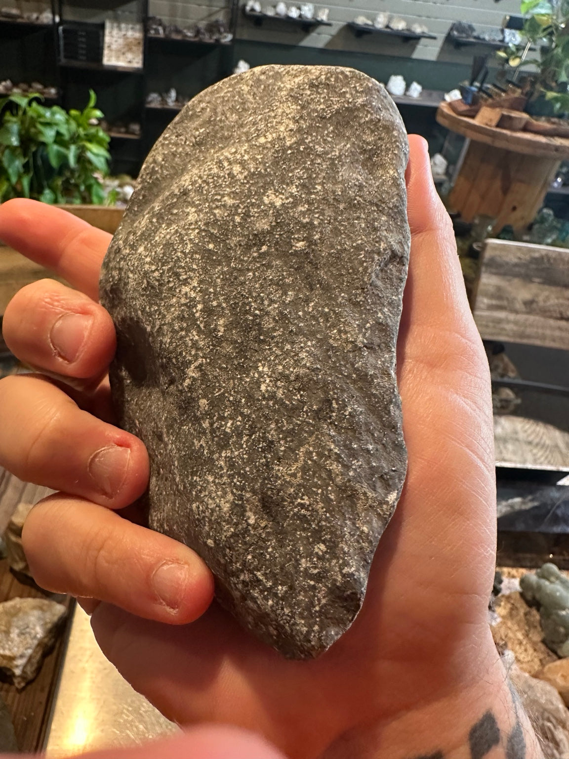 Reported mano handstone from private land along the American River