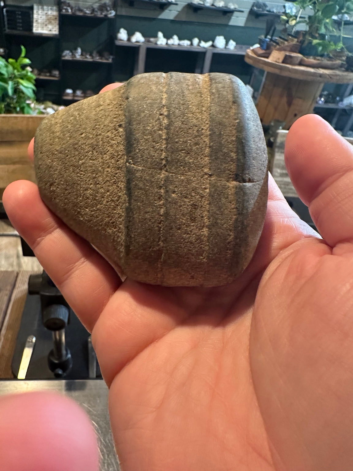 American River vortex stone