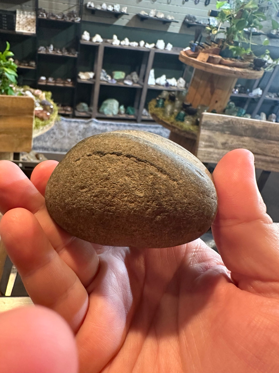 American River vortex stone