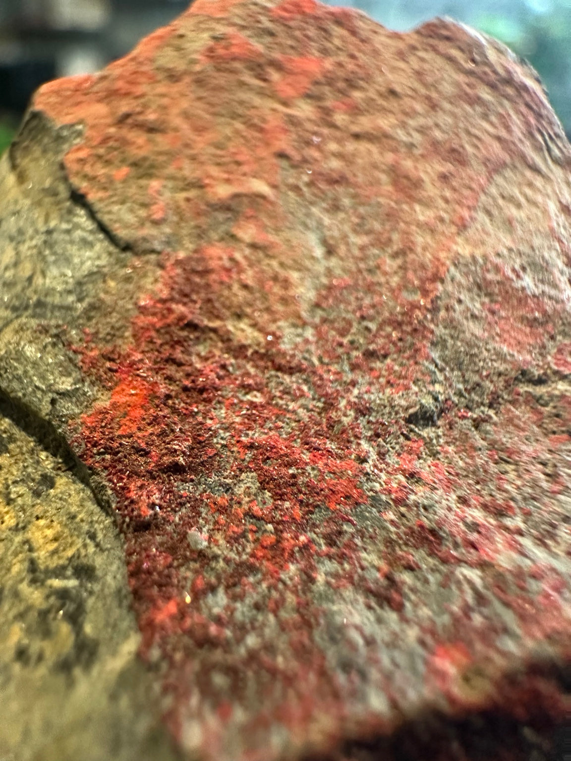 Cinnabar mineral specimen matrix