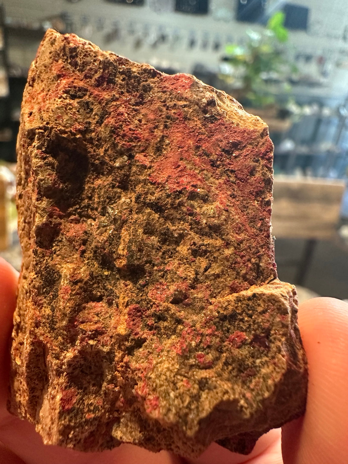 Nevada cinnabar in matrix