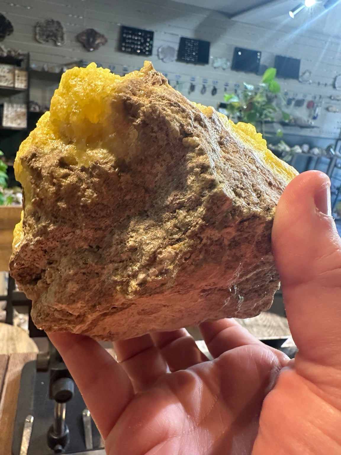 Native sulfur crystal cluster on matrix