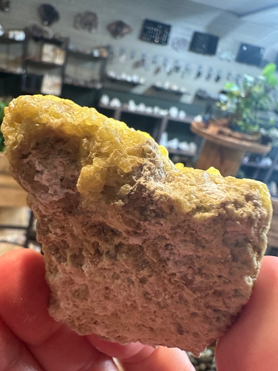 Native sulfur crystal cluster crystal detail
