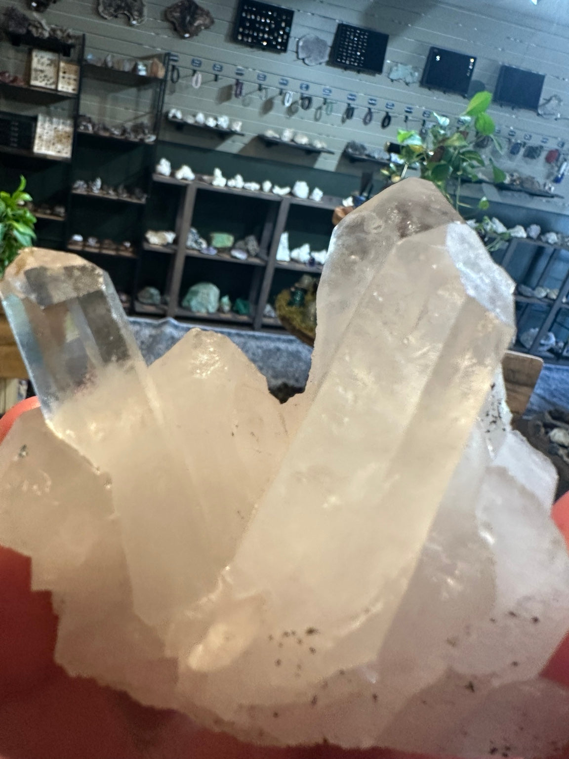 Clear quartz crystal cluster with tall crystal terminations