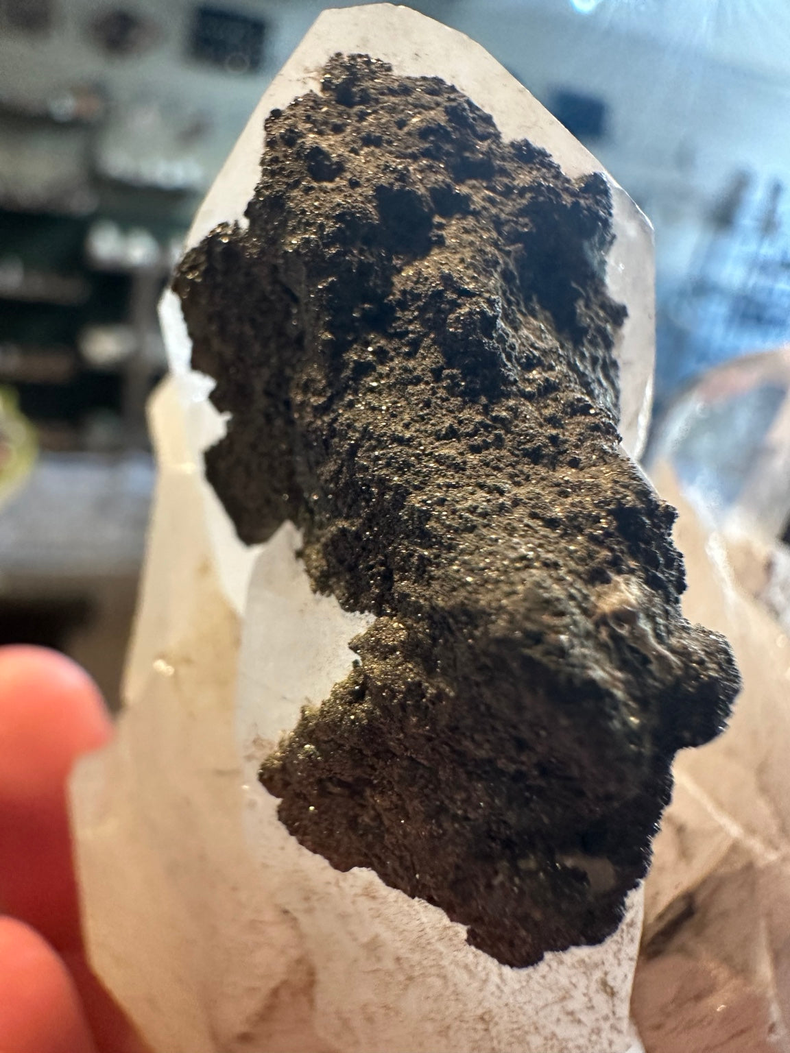 Clear quartz crystal cluster with dark mineral matrix closeup