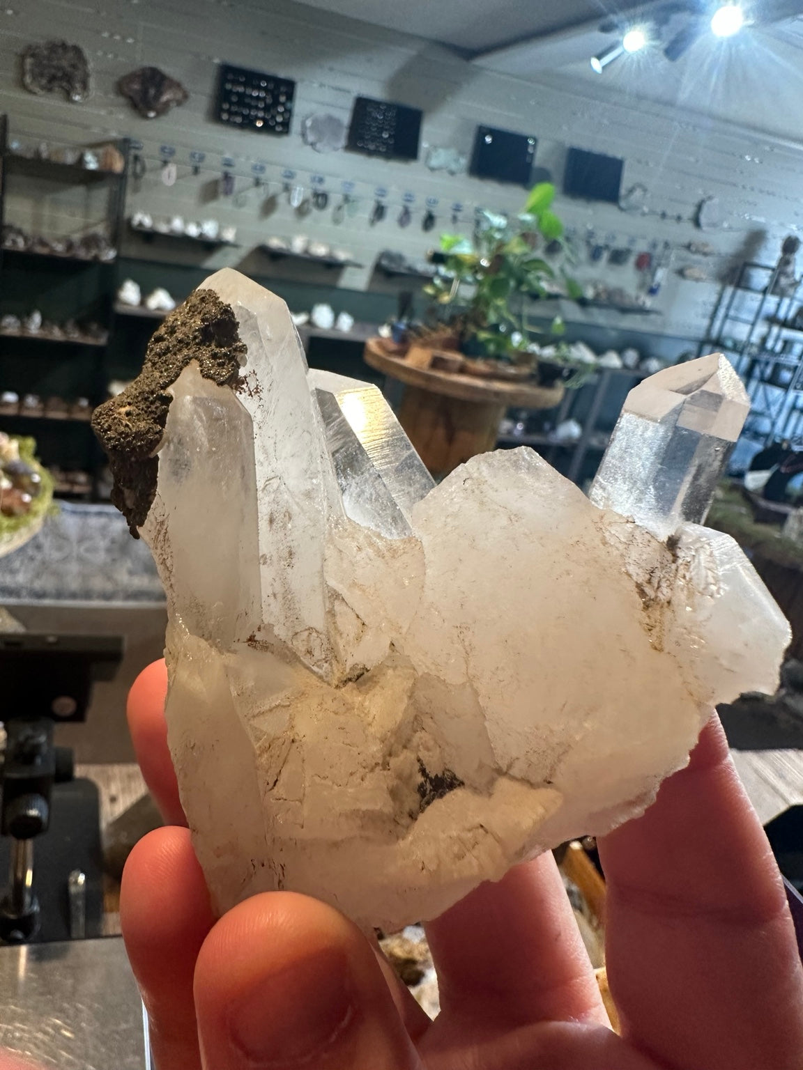 Clear quartz crystal cluster with dark mineral matrix, alternate view