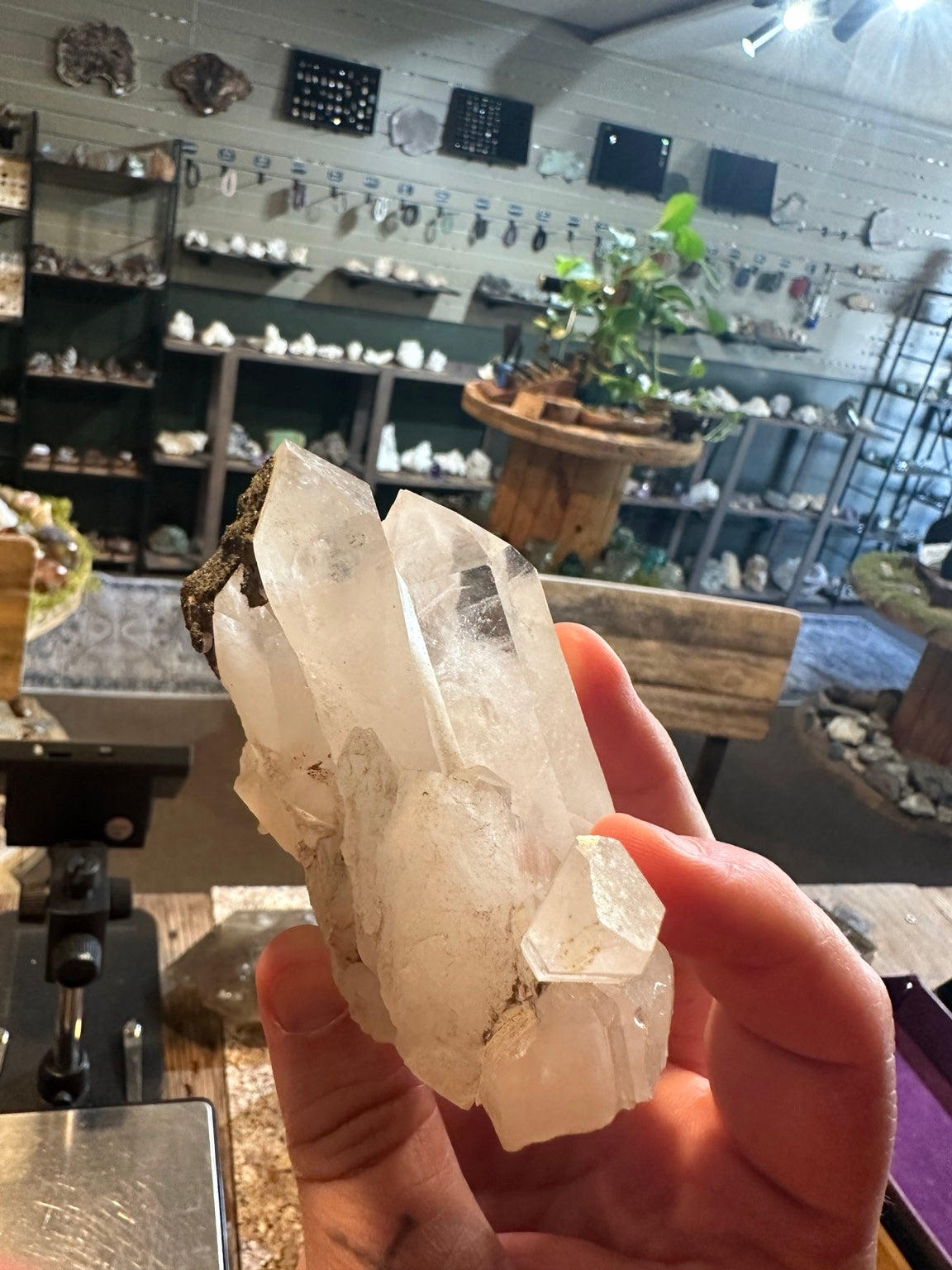 Clear quartz crystal cluster side view