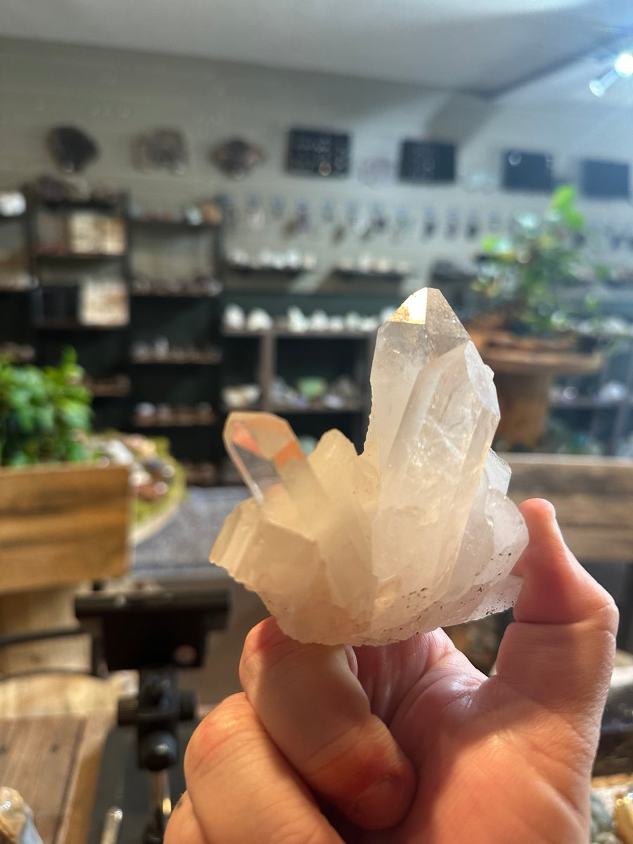 Clear quartz crystal cluster with dark mineral matrix, front view