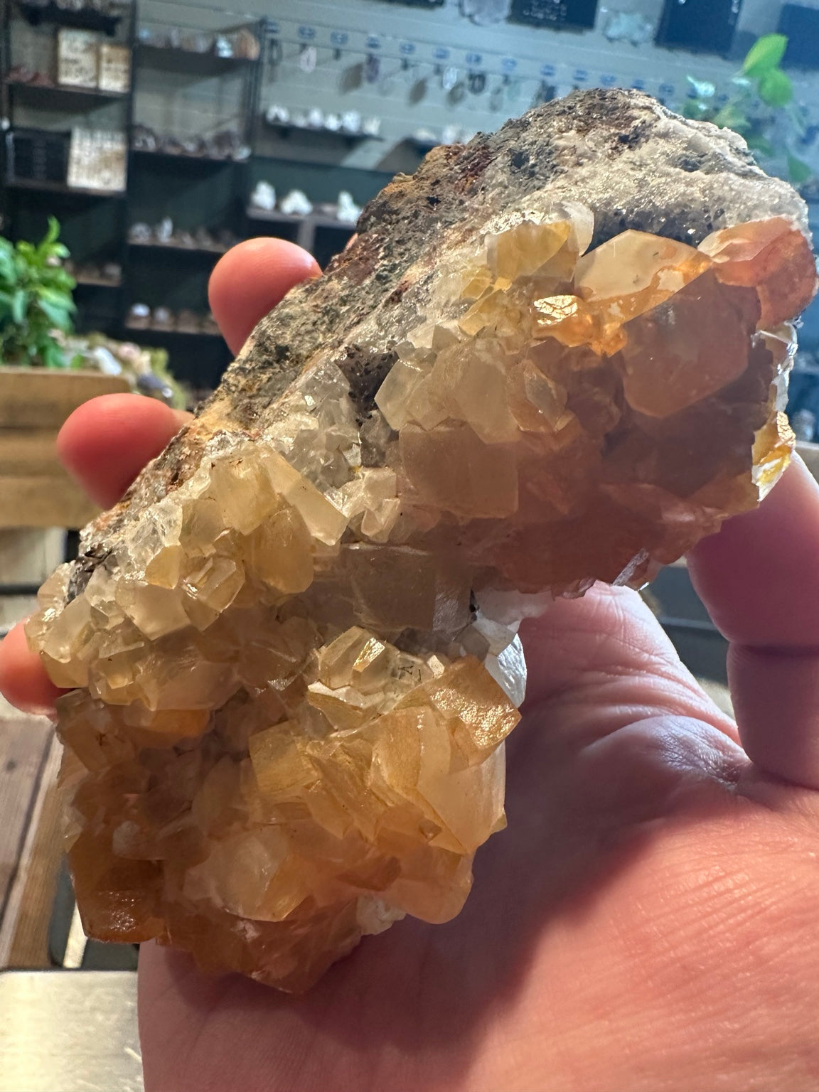 Honey calcite crystal cluster on dark matrix, alternate view