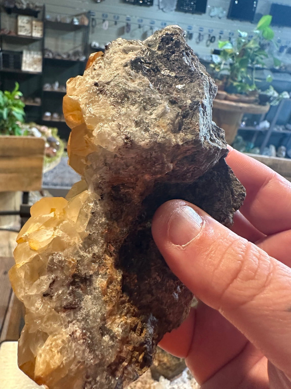 Honey calcite crystal cluster on matrix, back view