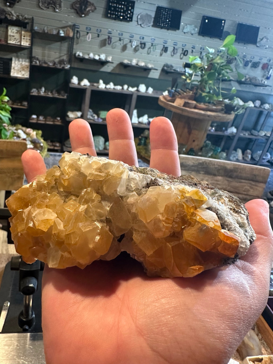 Honey calcite crystal cluster on matrix, front view