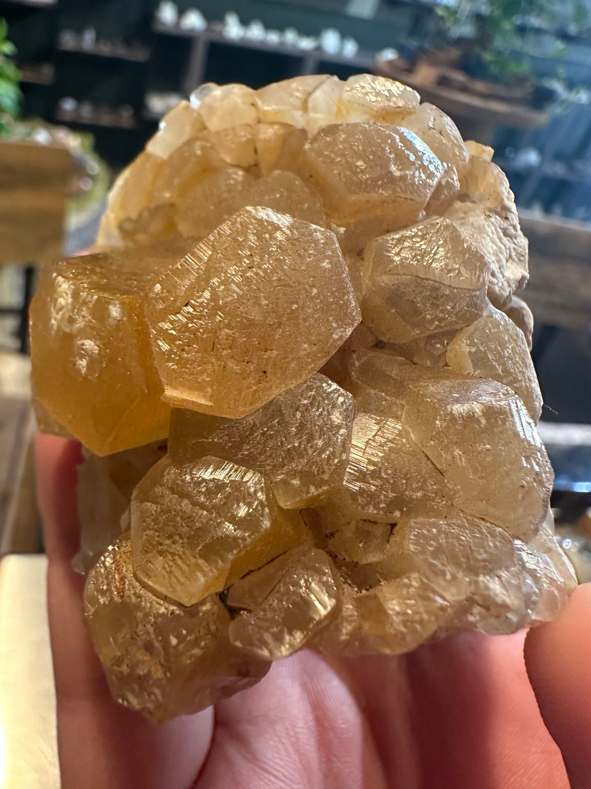 Honey calcite crystal cluster from Mexico, alternate view