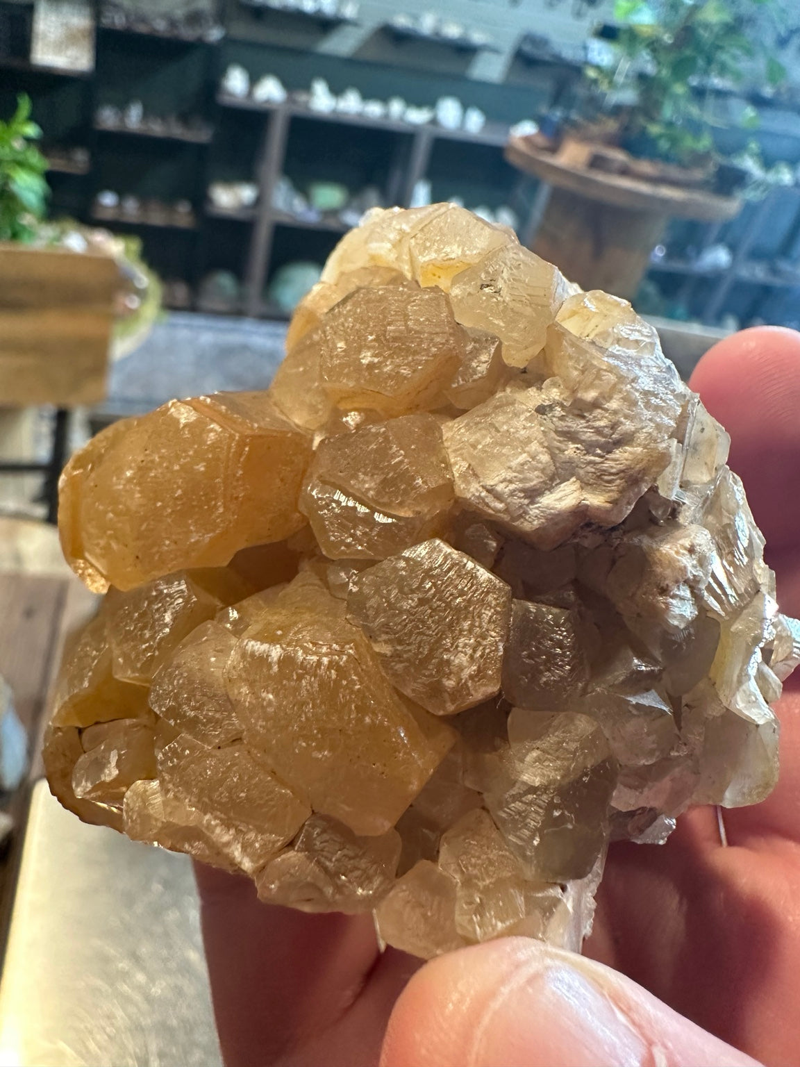 Honey calcite crystal cluster from Mexico, golden crystal detail