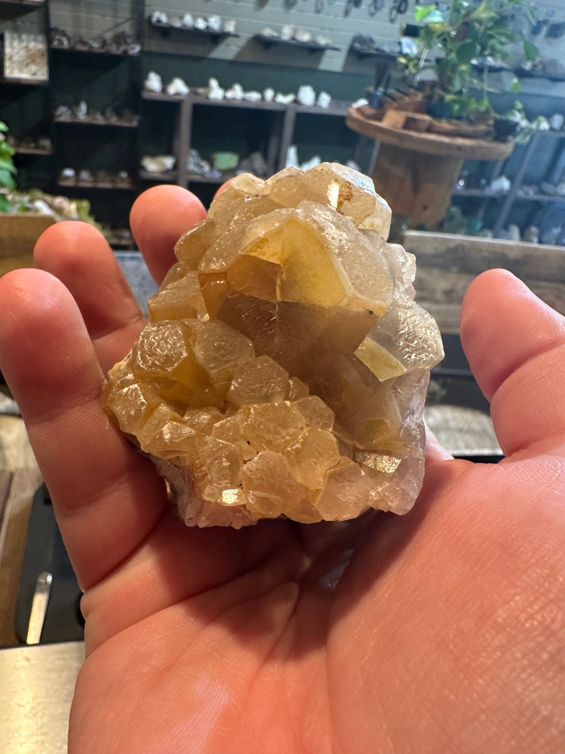 Honey calcite crystal cluster from Mexico, side view