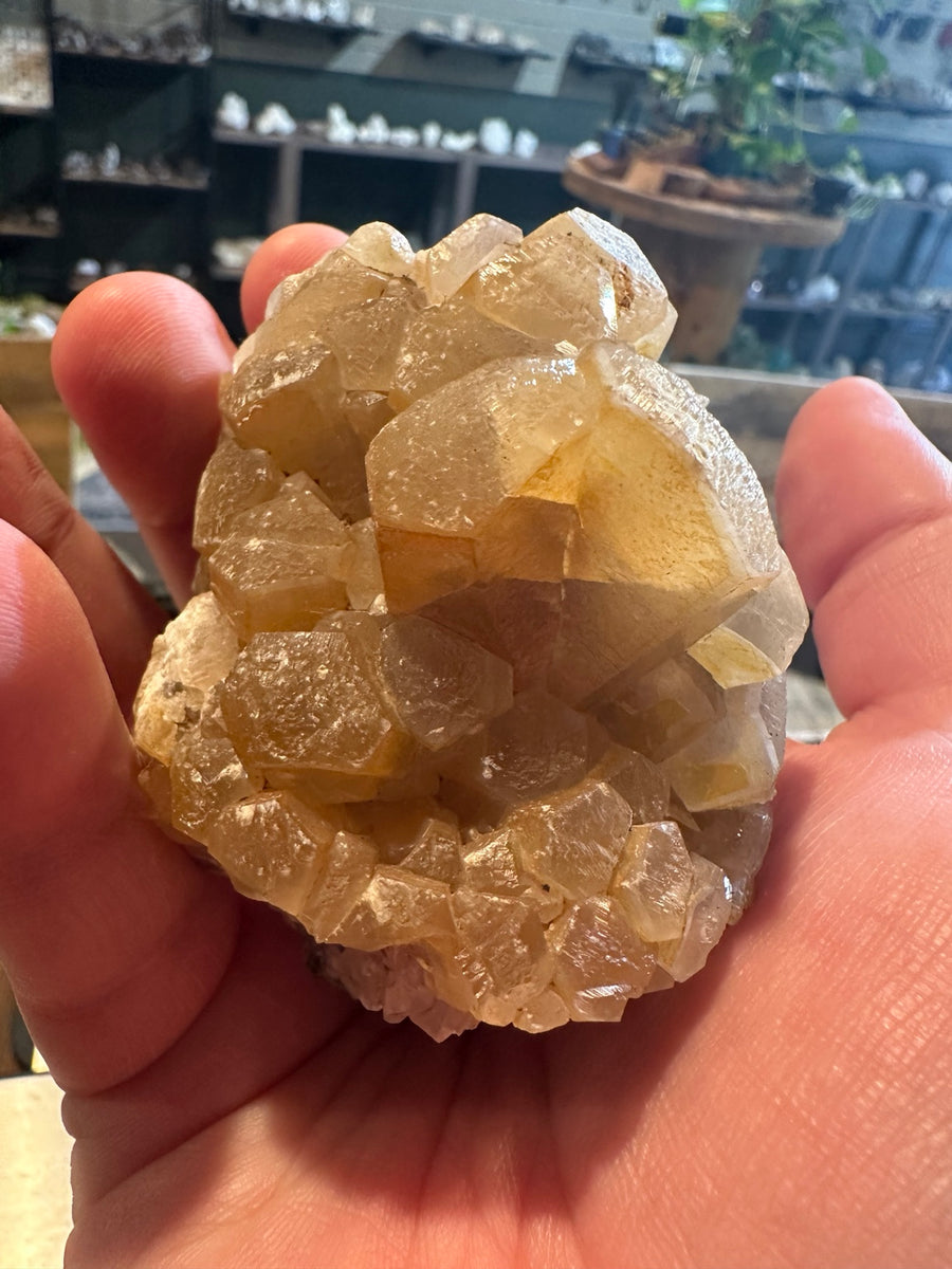 Honey calcite crystal cluster from Mexico, front view