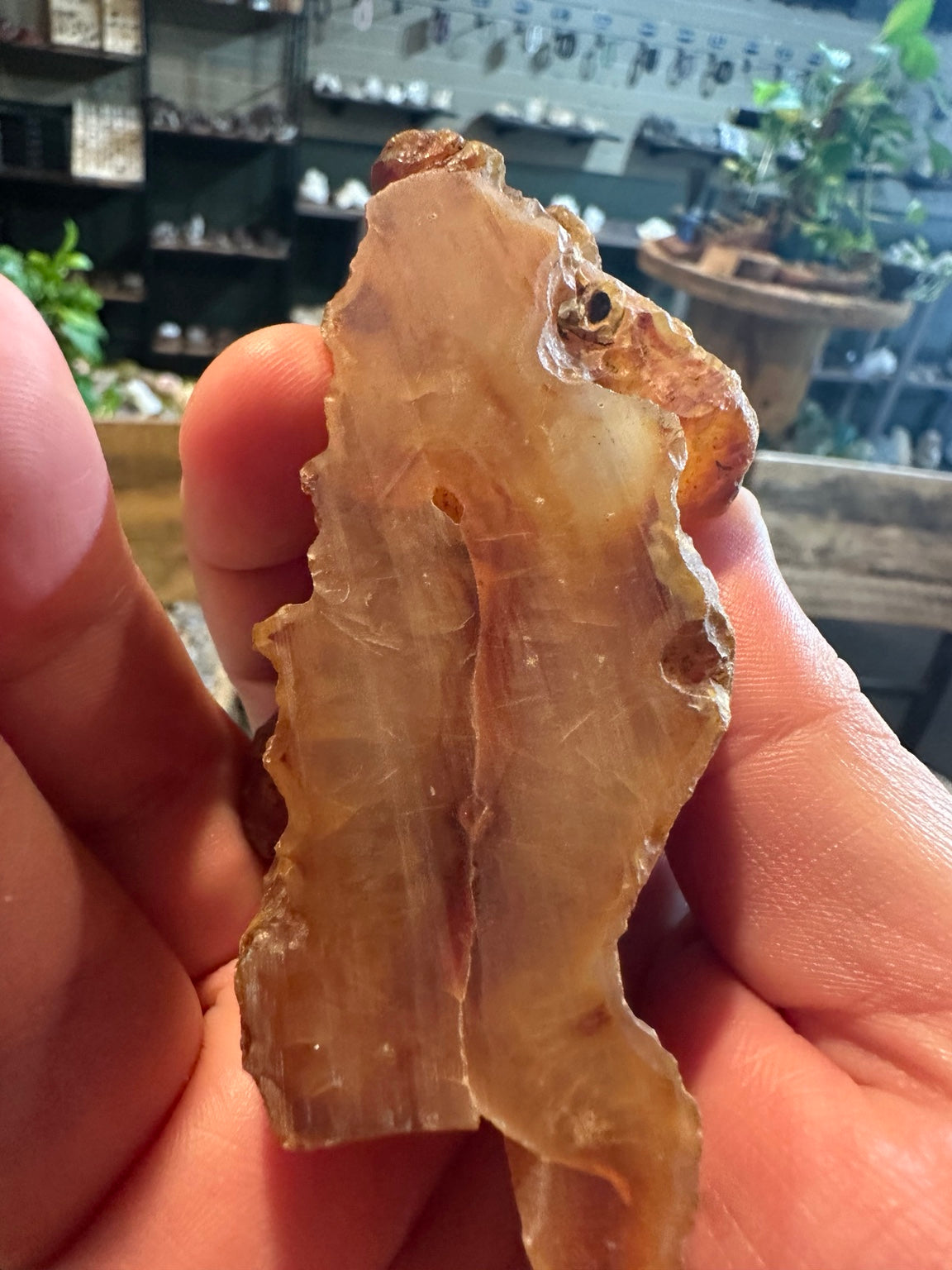 Honey chalcedony from the Great Basin — natural side profile