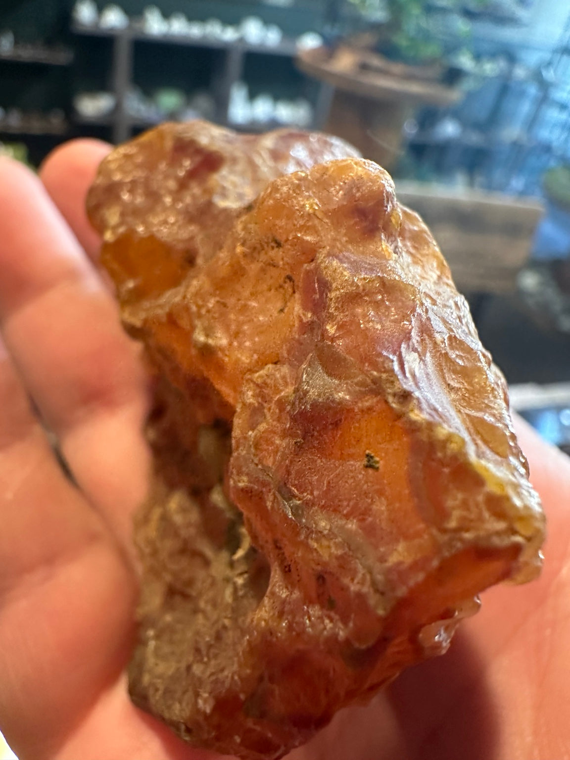 Honey chalcedony from the Great Basin — translucent honey color