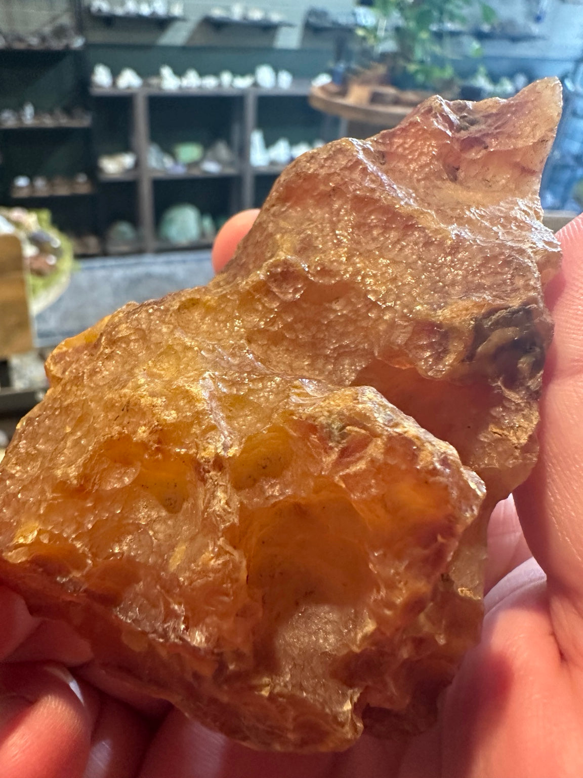 Honey chalcedony from the Great Basin — sculptural natural form