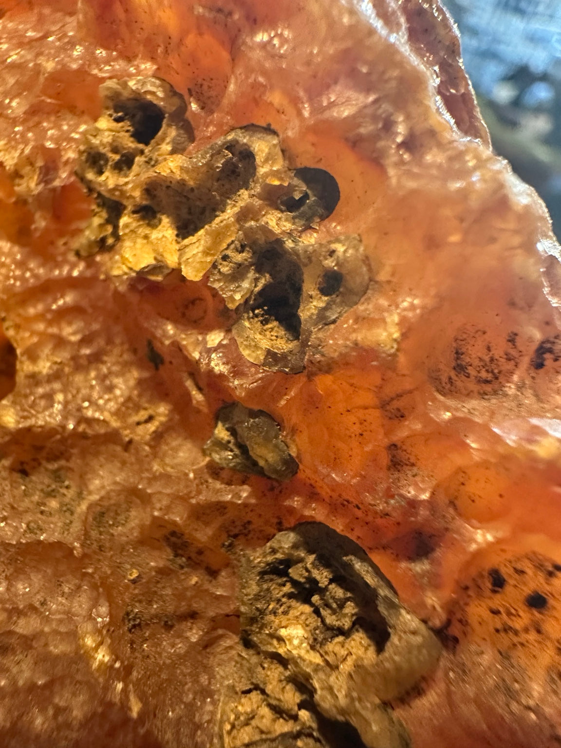 Honey chalcedony from the Great Basin — close-up botryoidal detail