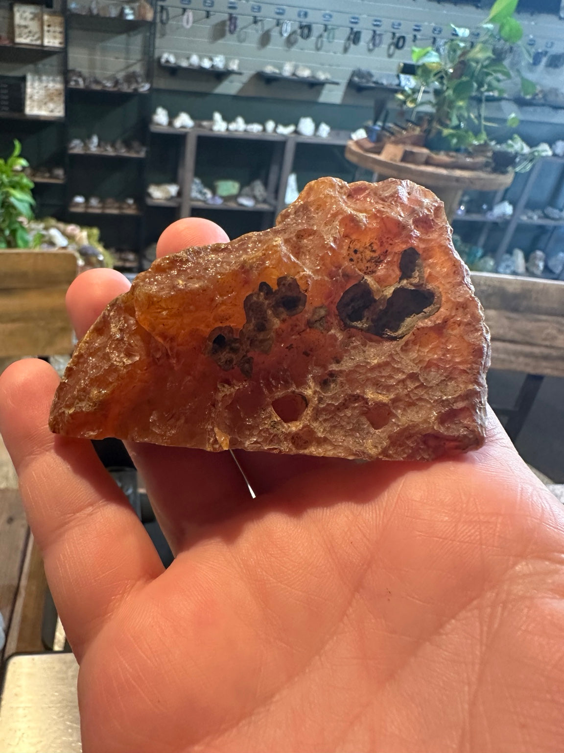 Honey chalcedony from the Great Basin, 7 oz — front display face
