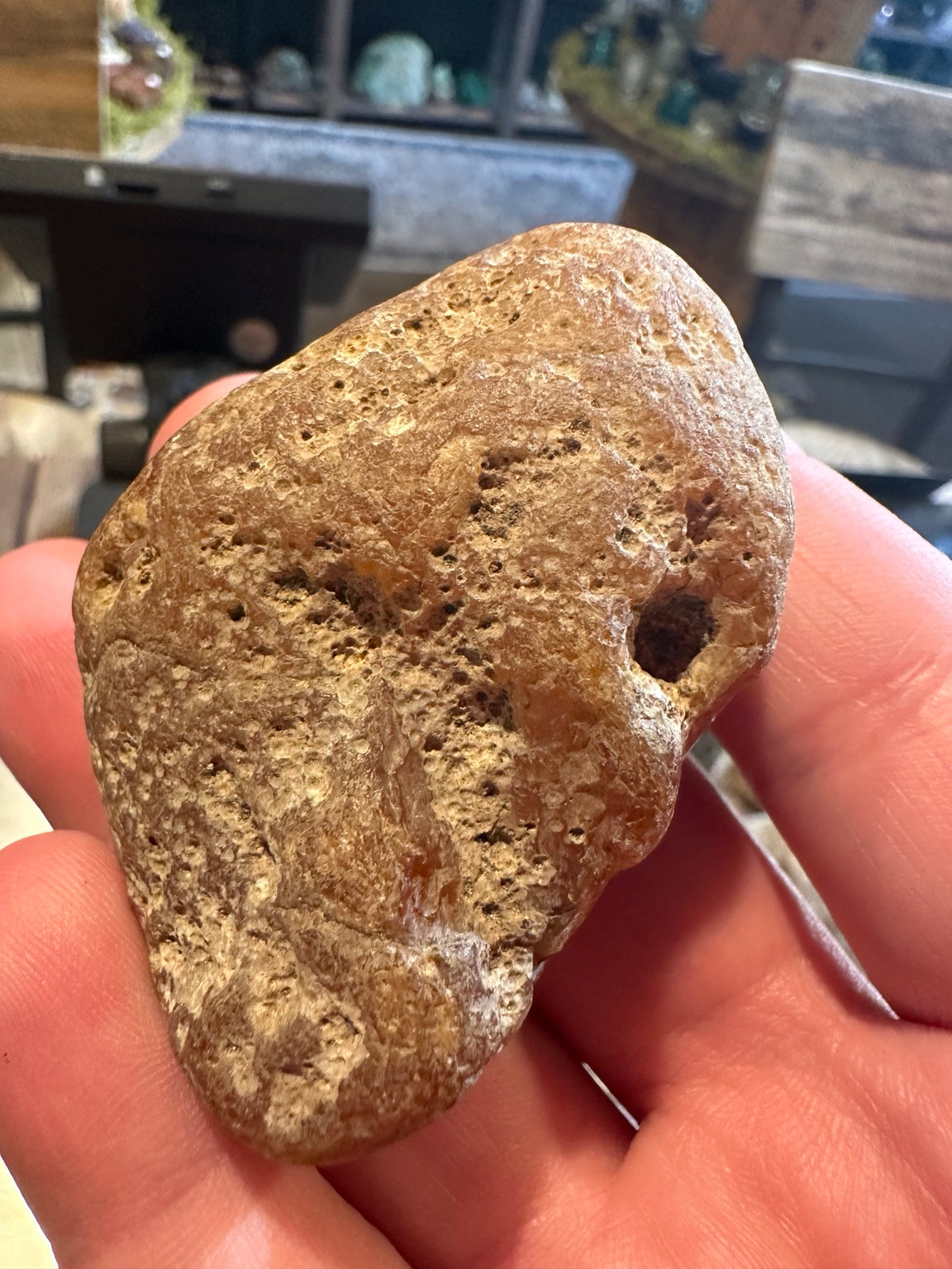 Honey chalcedony nodule from Nevada — cavity detail