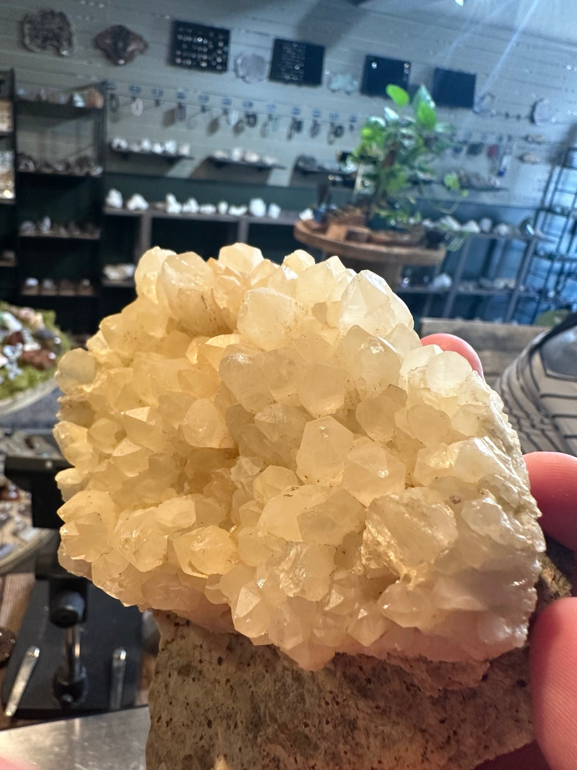 Natural honey calcite crystal cluster, 32.6 oz — view 3