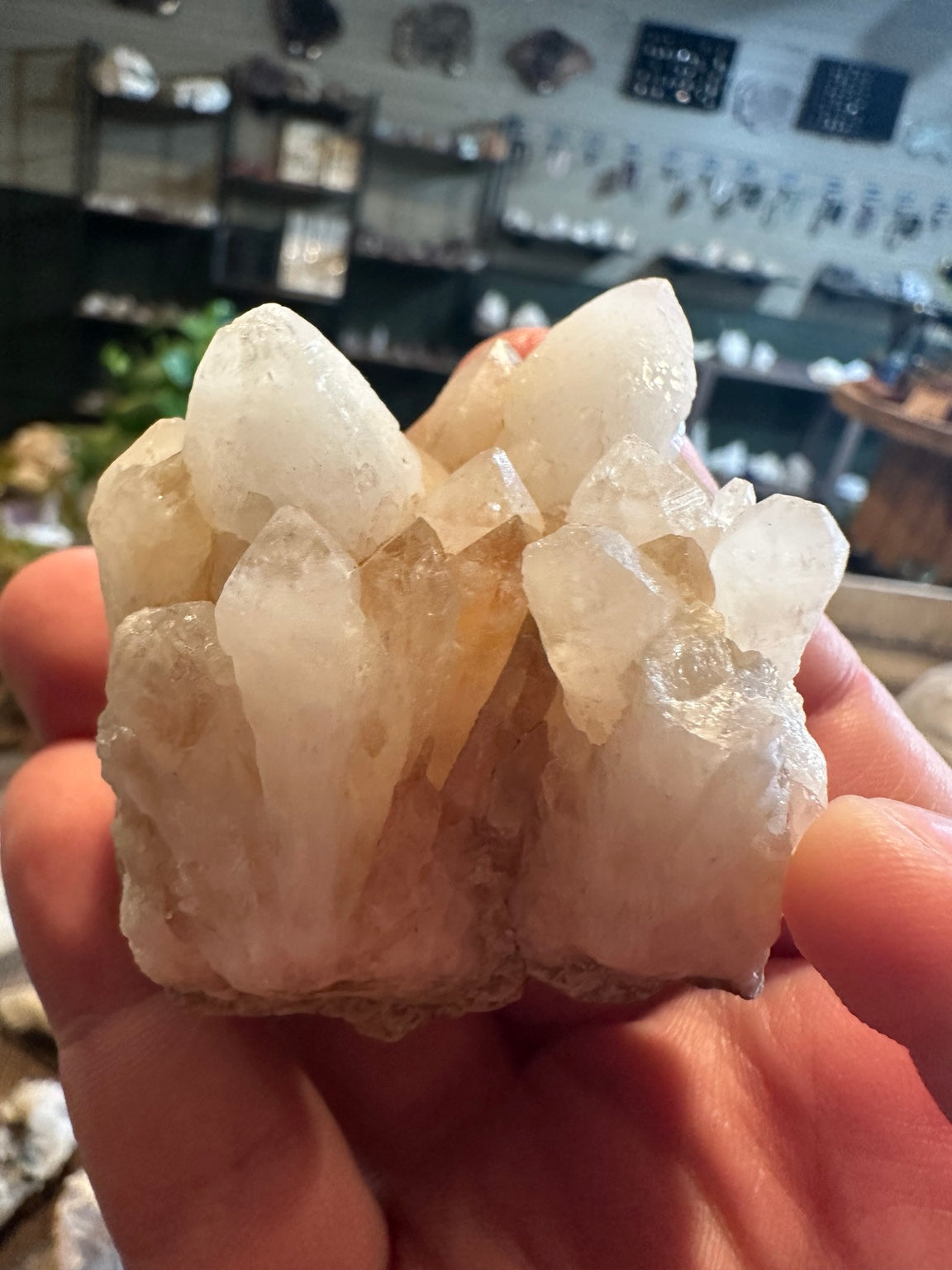 Calcite crystal cluster from Virginia City, Nevada – view 6