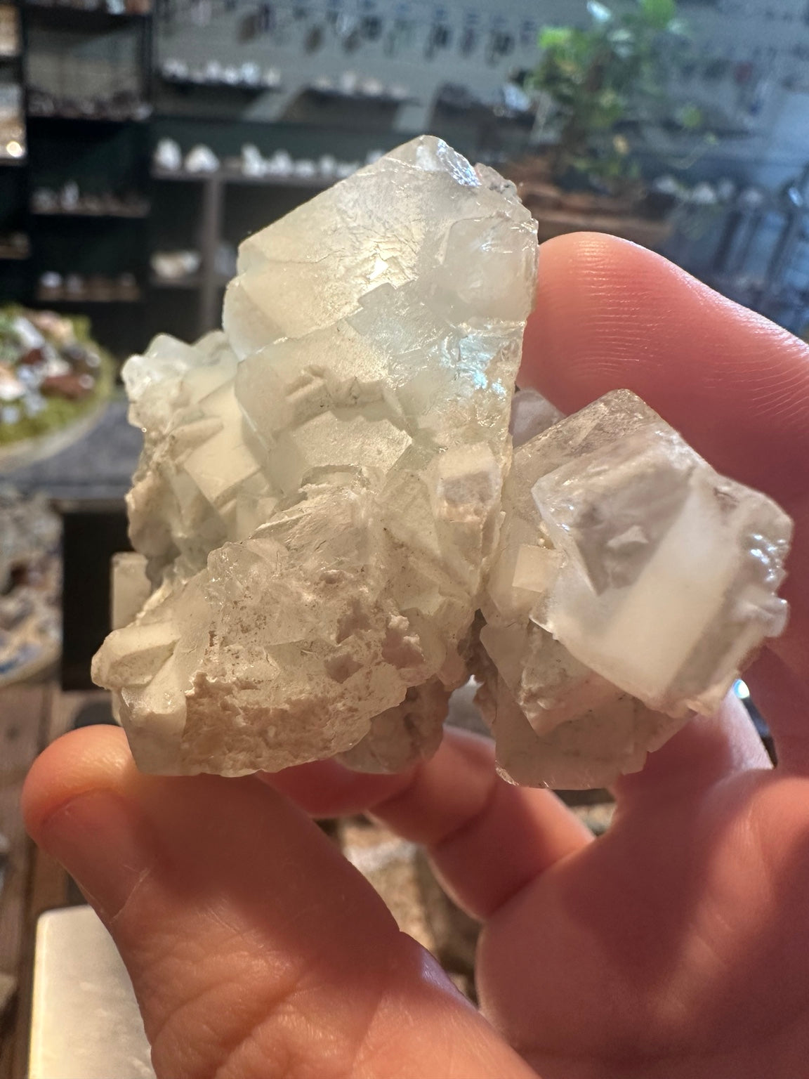 Pale green fluorite crystal cluster from Mexico, 235 g — view 4