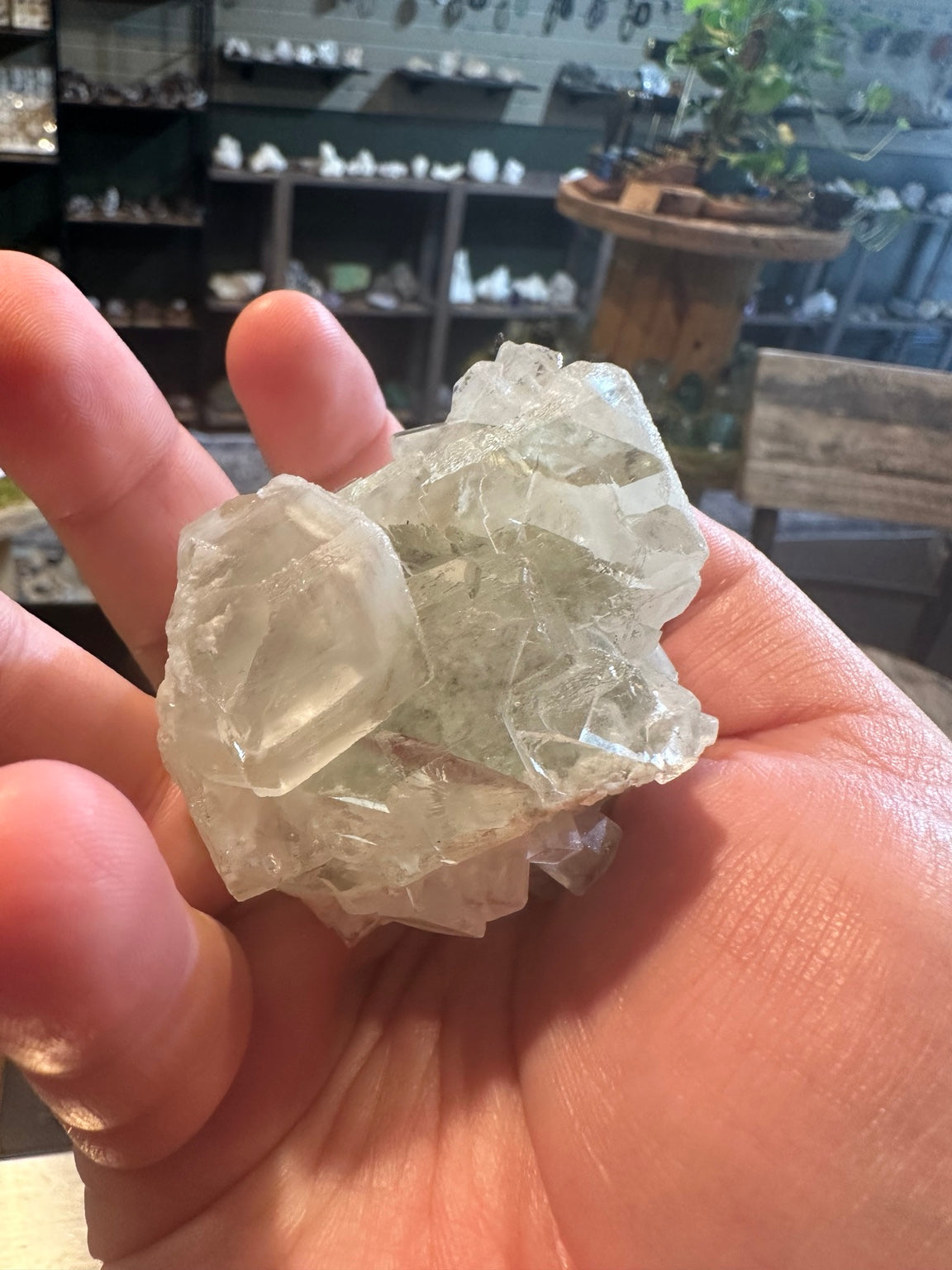 Pale green fluorite crystal cluster from Mexico, 235 g — view 5