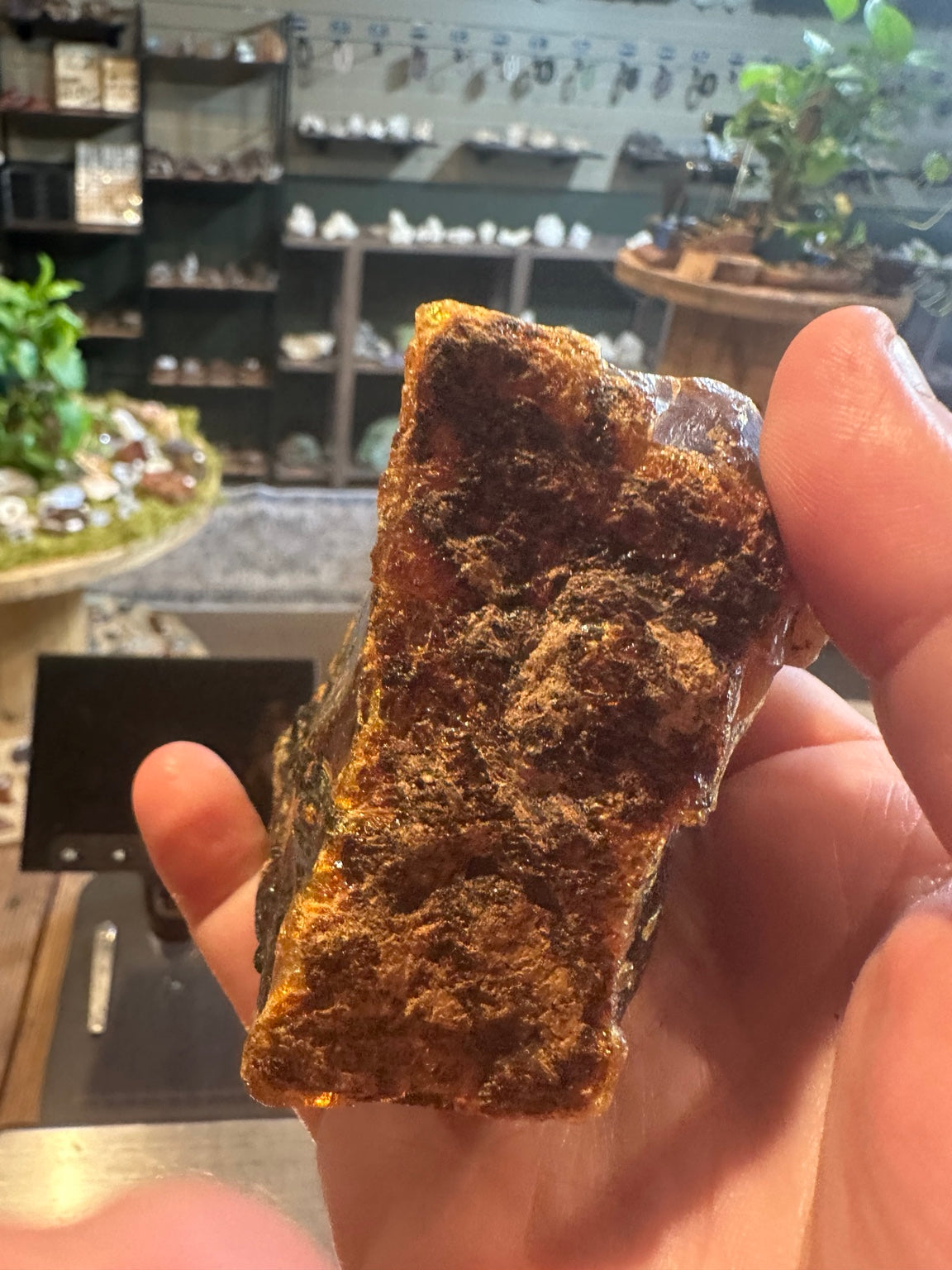 Natural Sumatran blue fluorescent amber specimen, 195.6 g — view 5