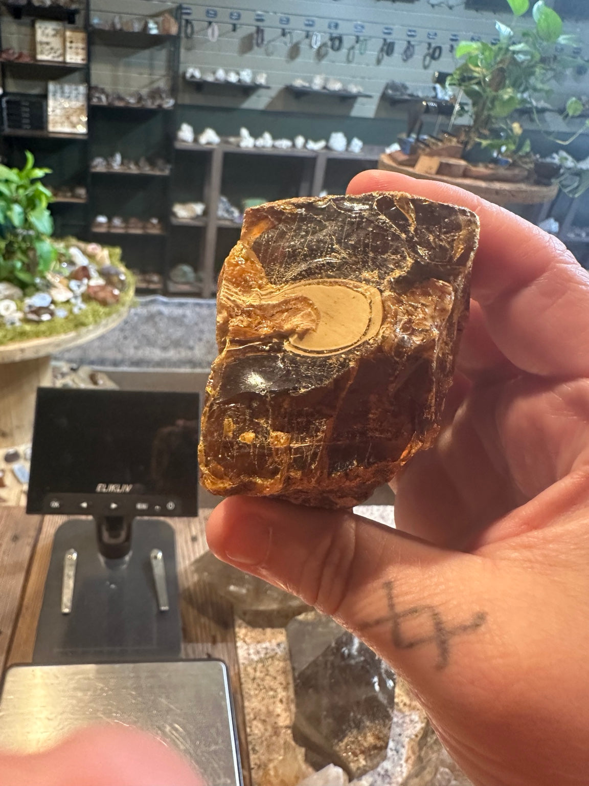 Natural Sumatran blue fluorescent amber specimen, 195.6 g — view 6