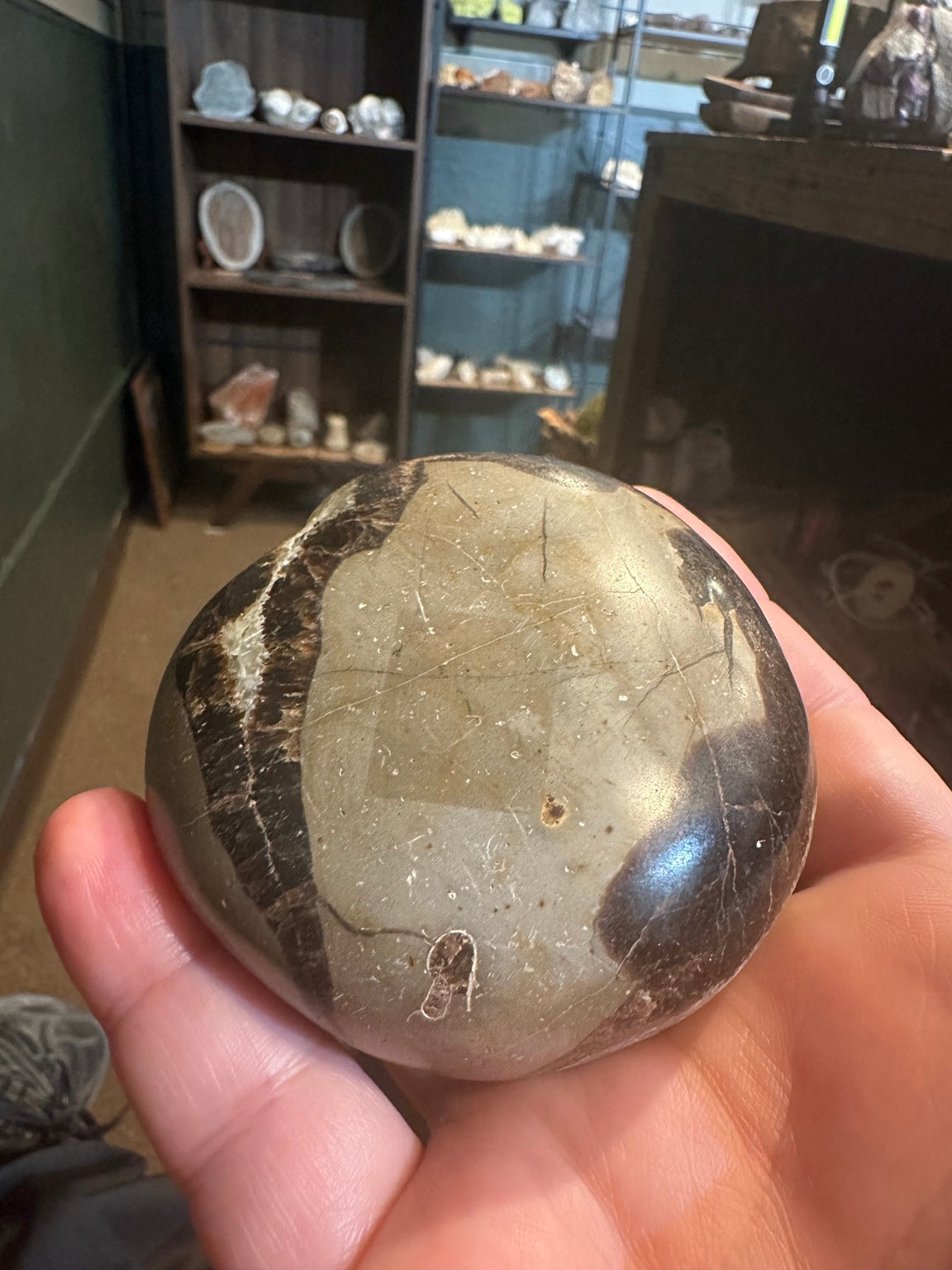 Polished Madagascar septarian nodule with druzy calcite crystal pocket, 320 g — view 3