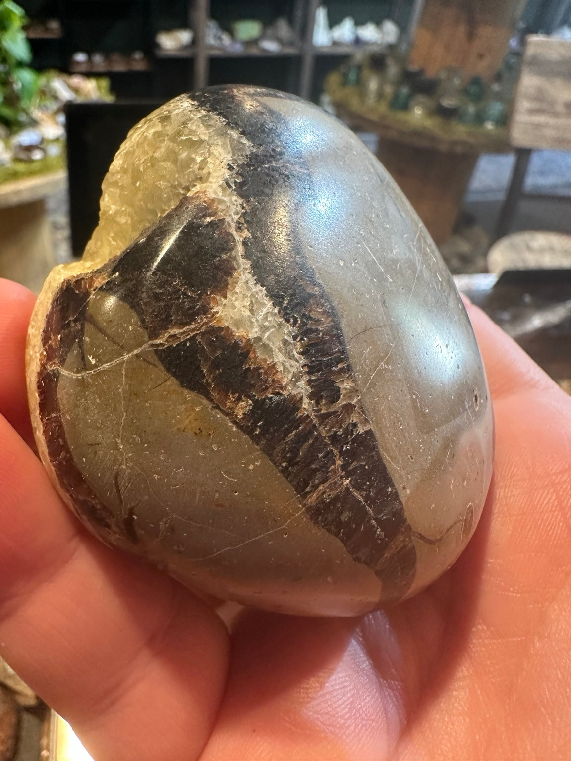 Polished Madagascar septarian nodule with druzy calcite crystal pocket, 320 g — view 4