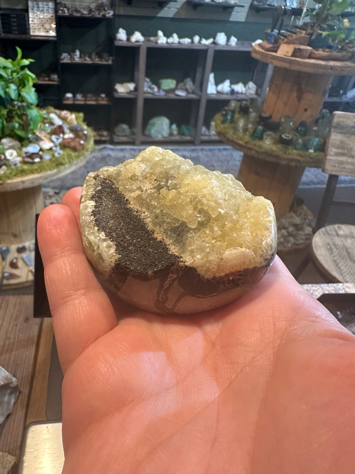 Polished Madagascar septarian nodule with druzy calcite crystal pocket, 320 g — view 5