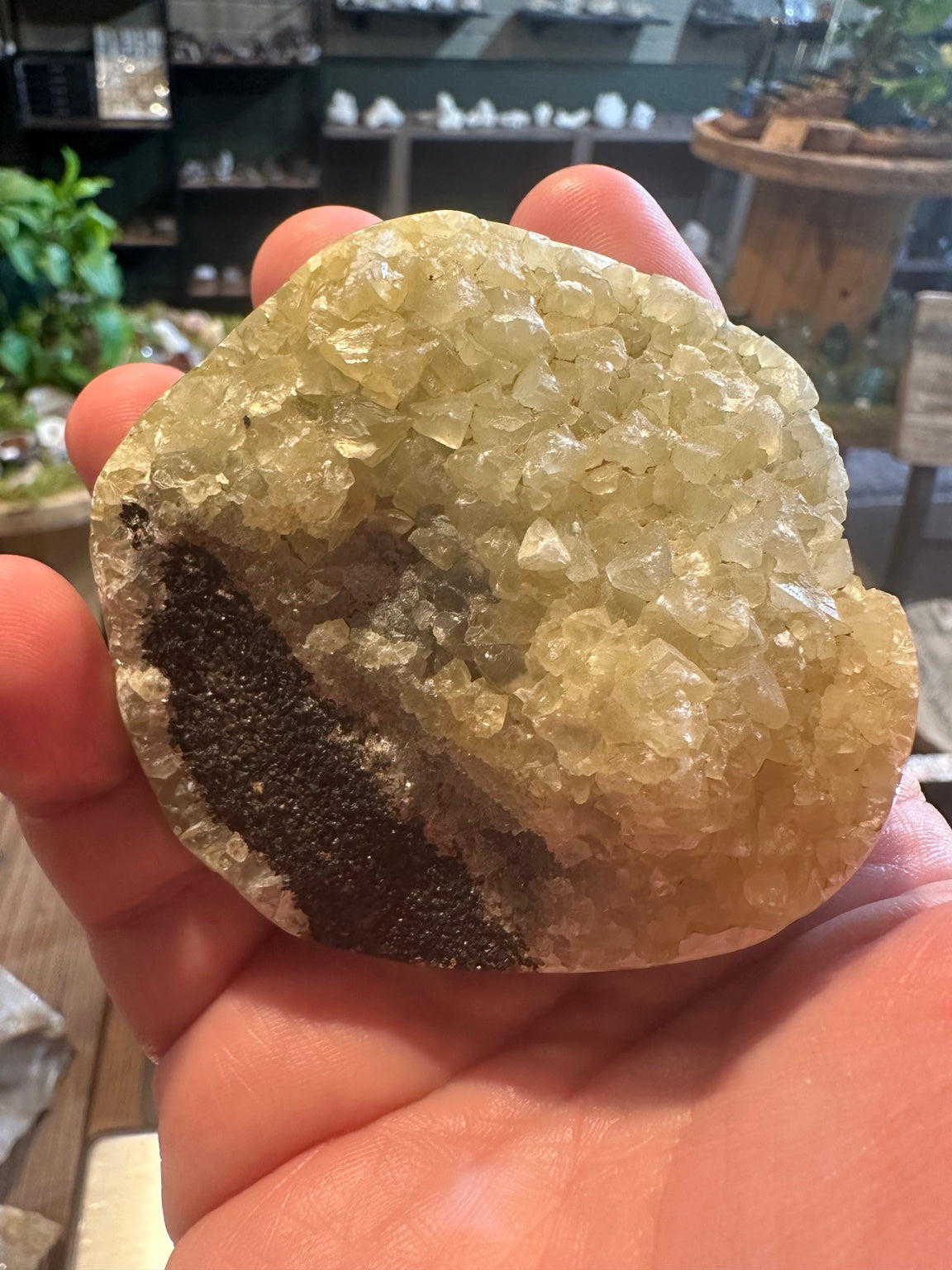 Polished Madagascar septarian nodule with druzy calcite crystal pocket, 320 g — view 1