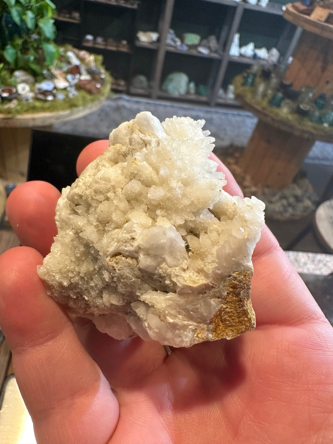 Natural earthy host rock matrix reverse view of Nevada Comstock mineral specimen