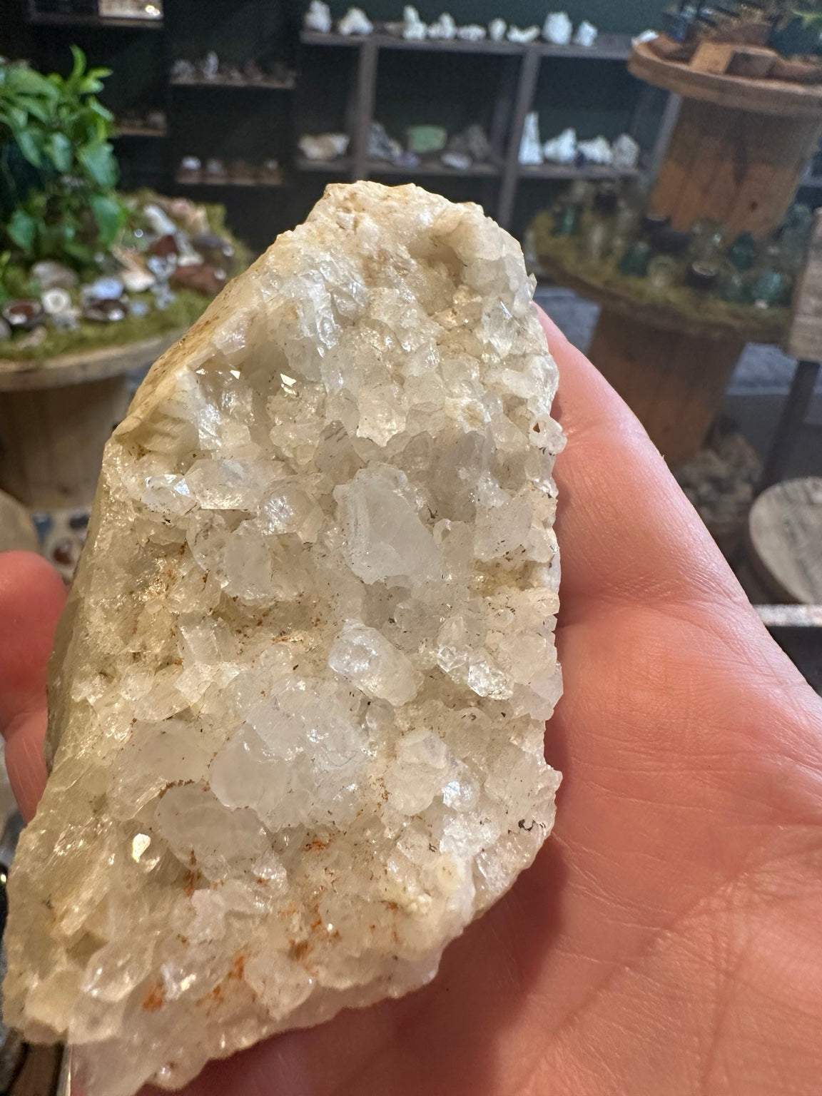 Sierra foothills crystal pocket natural intergrown crystals and translucent points