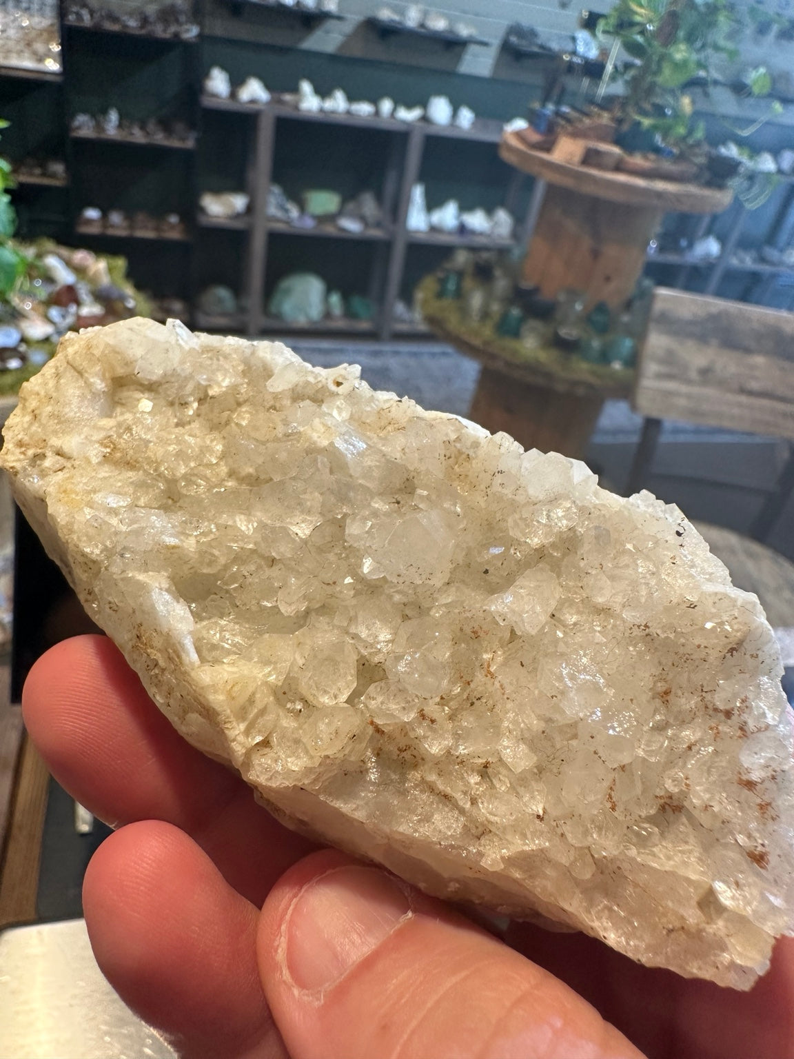 Close view of prismatic and pointed translucent crystals from Sierra Nevada specimen